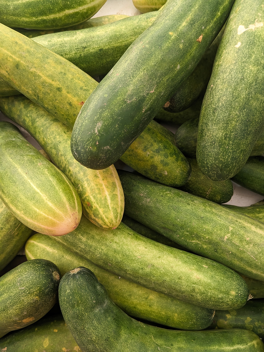 长长的瓜有哪些？常见品种介绍及营养功效