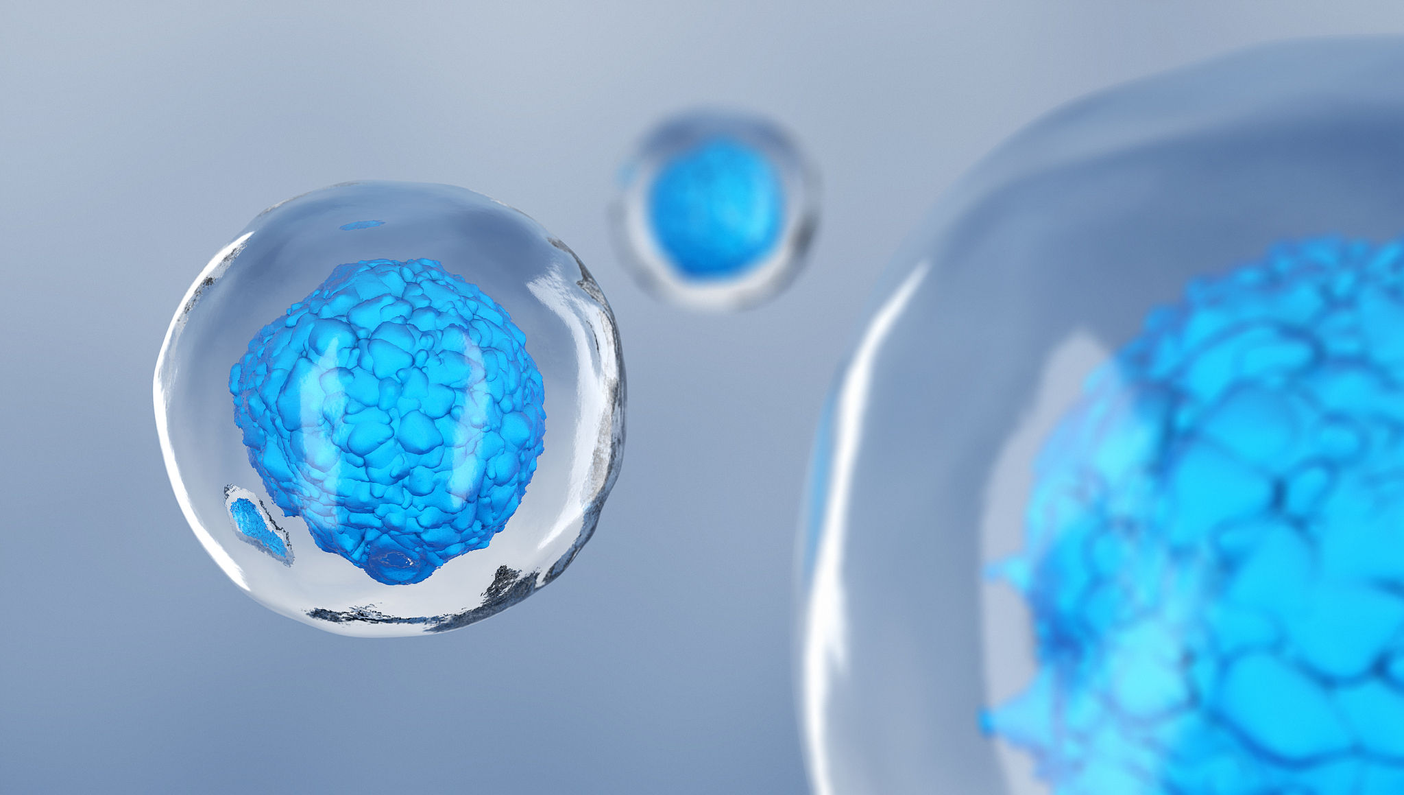 Cell Stem Cell 期刊：干细胞研究领域权威期刊