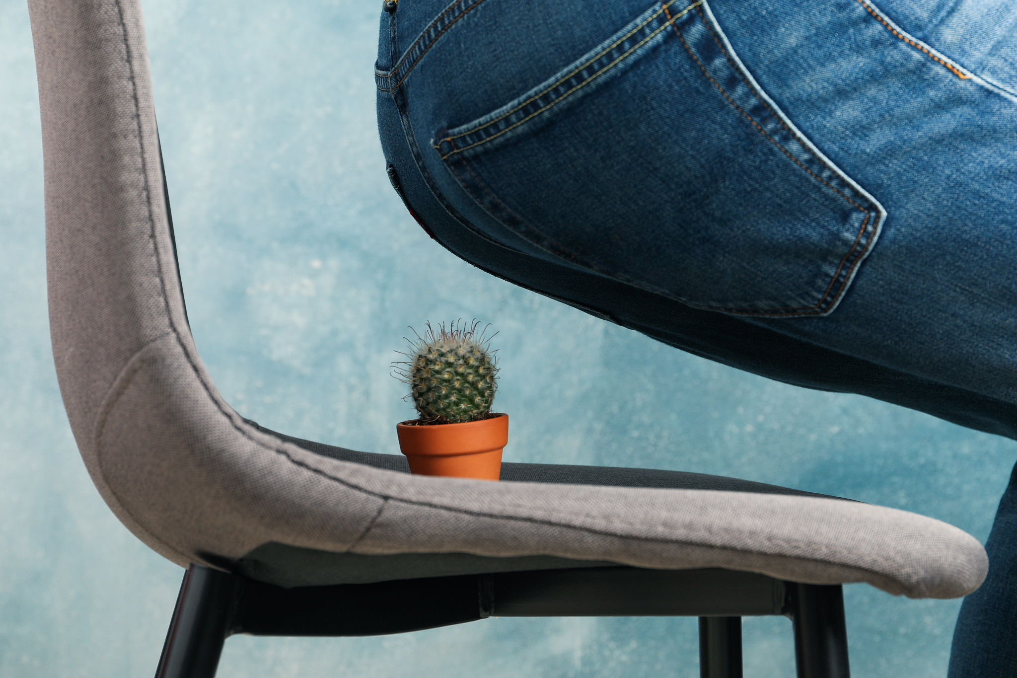 man sit on a chair with cactus. hemorrhoids