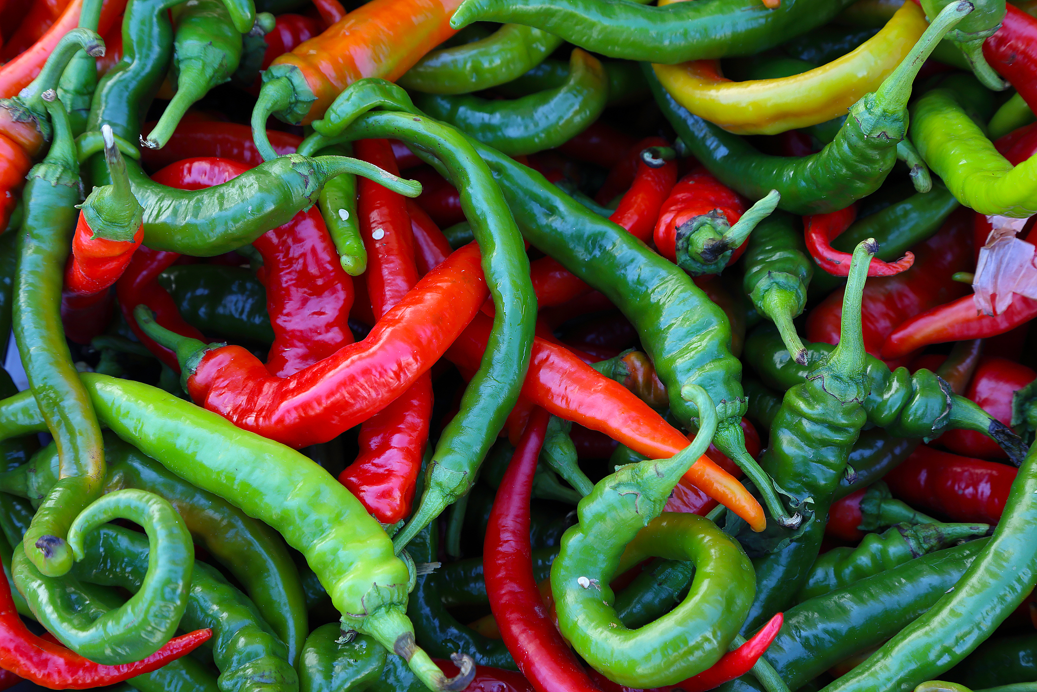 延安大学的医学检验技术专业就业前景怎么样