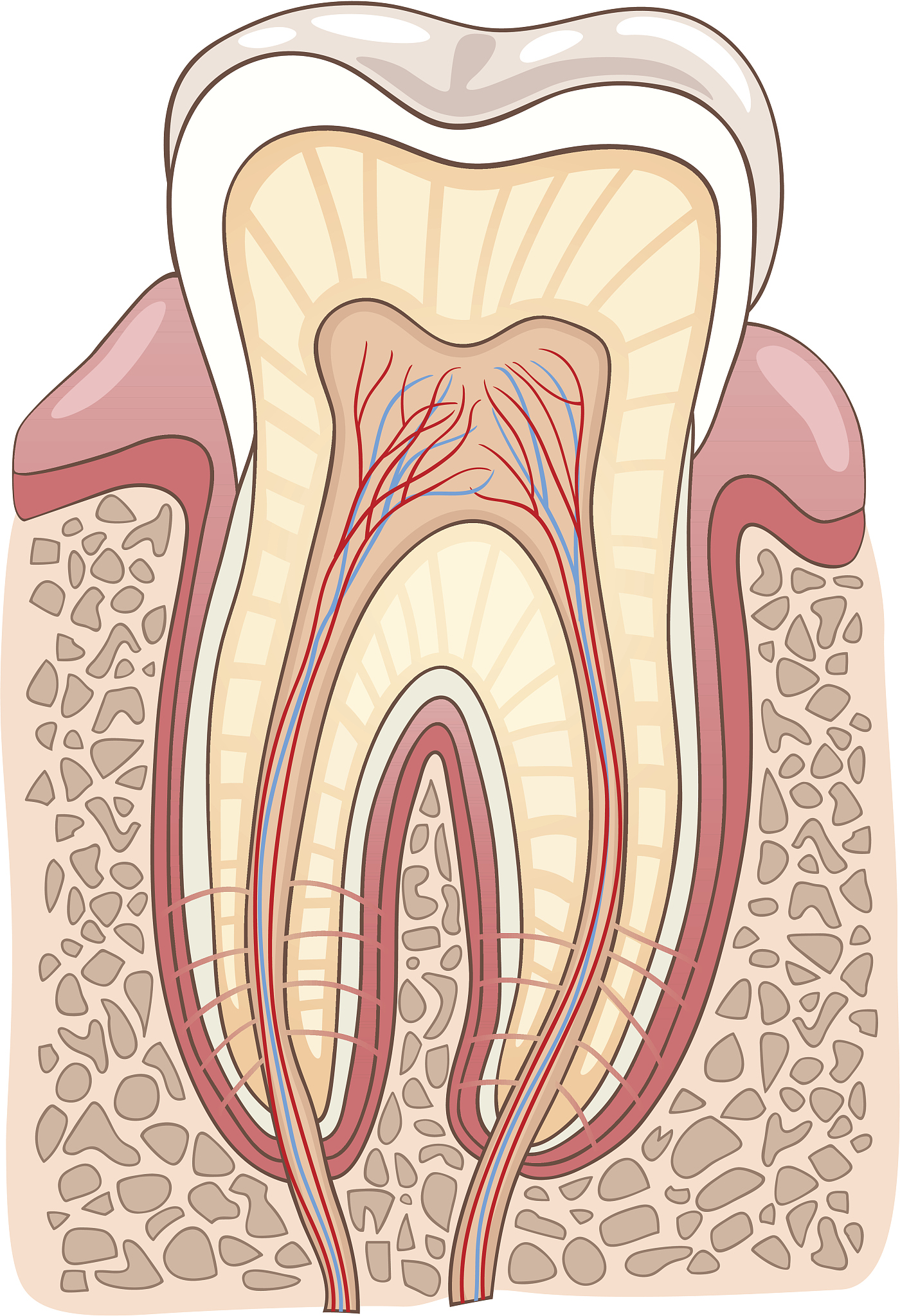 精神科药物副作用管理：医生必备指南