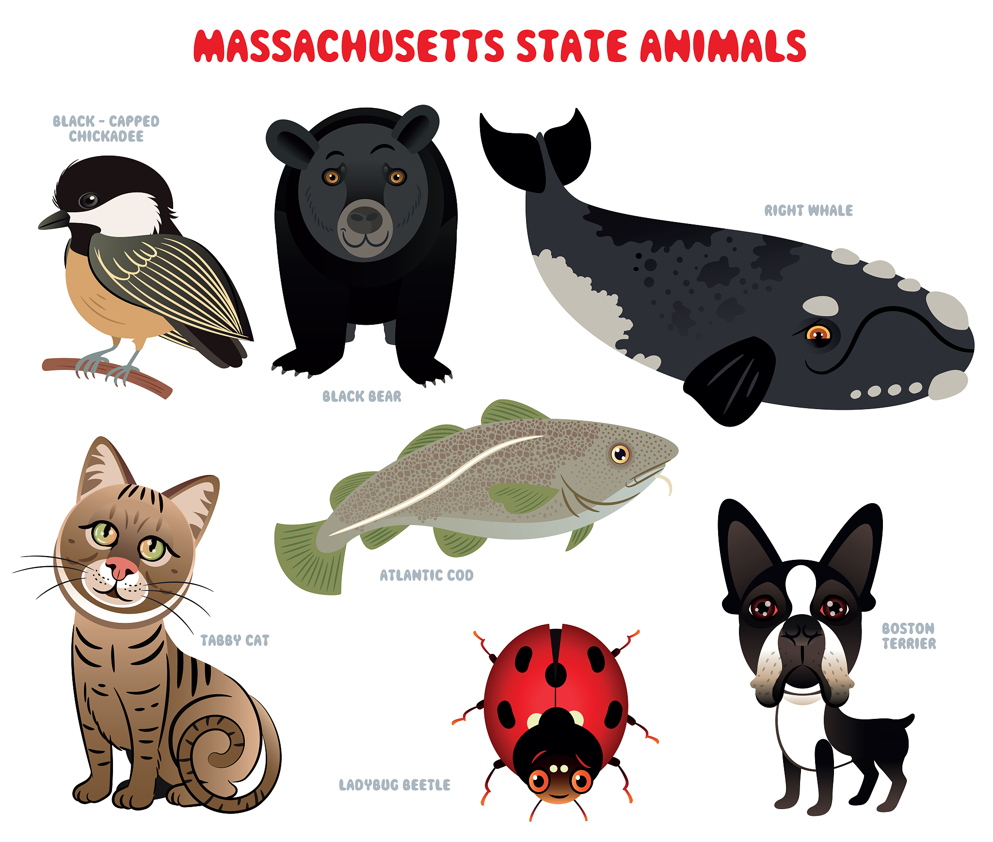 Meet the Glitternut: A Fictional Animal with Rainbow Powers