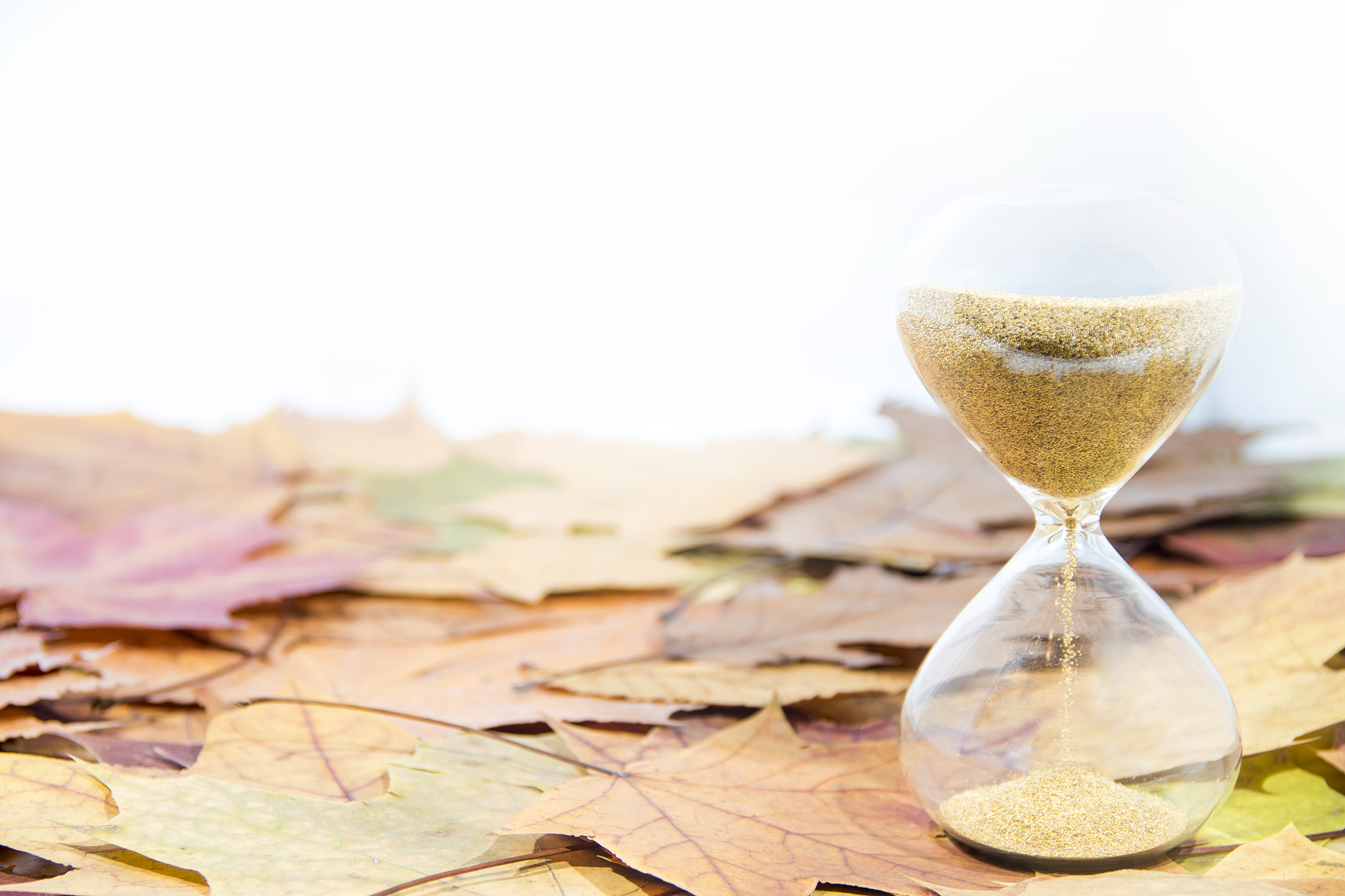 BOE-ziSIM: Photolithography Simulation Software for Efficient Device Production