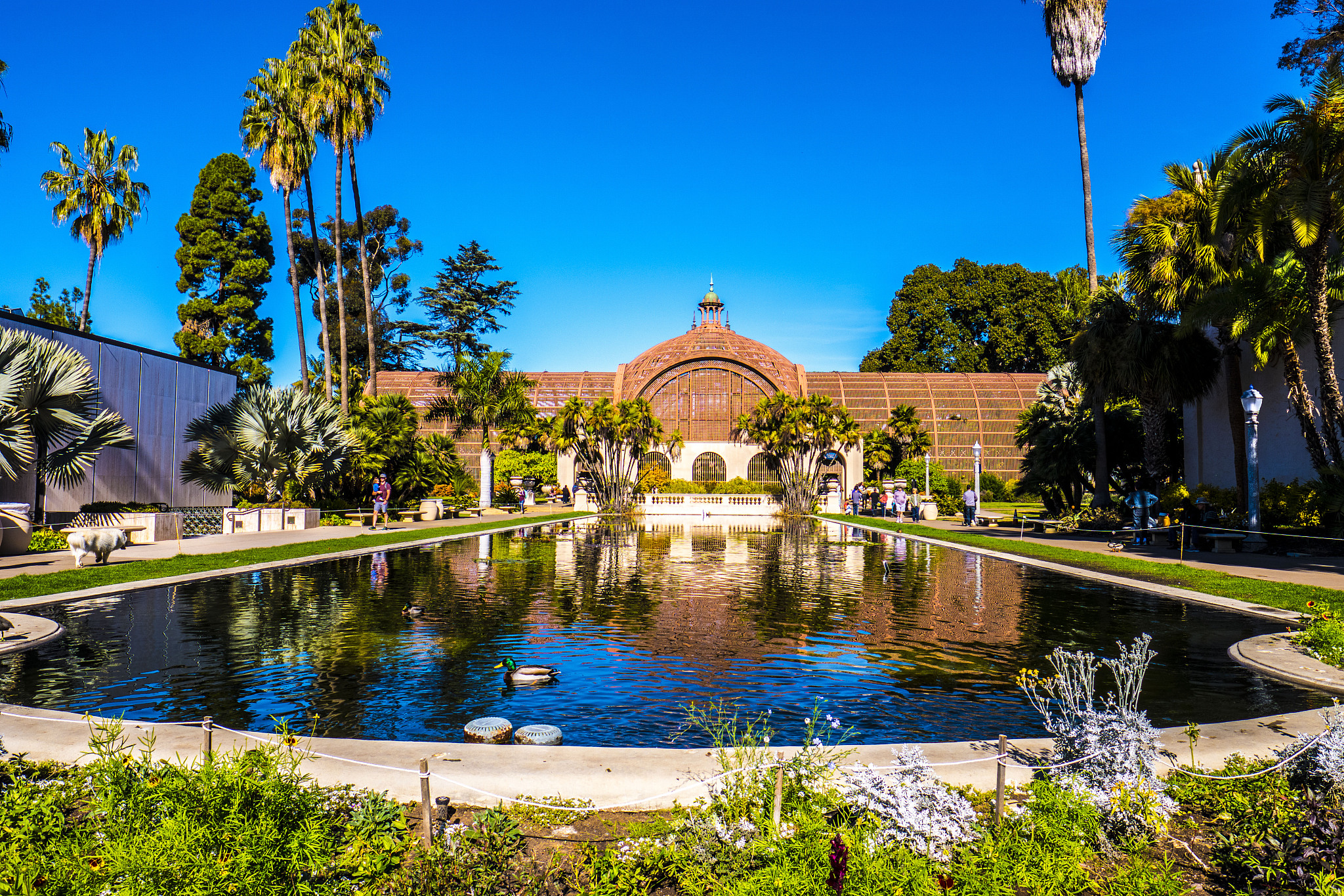 balboa park. san diego