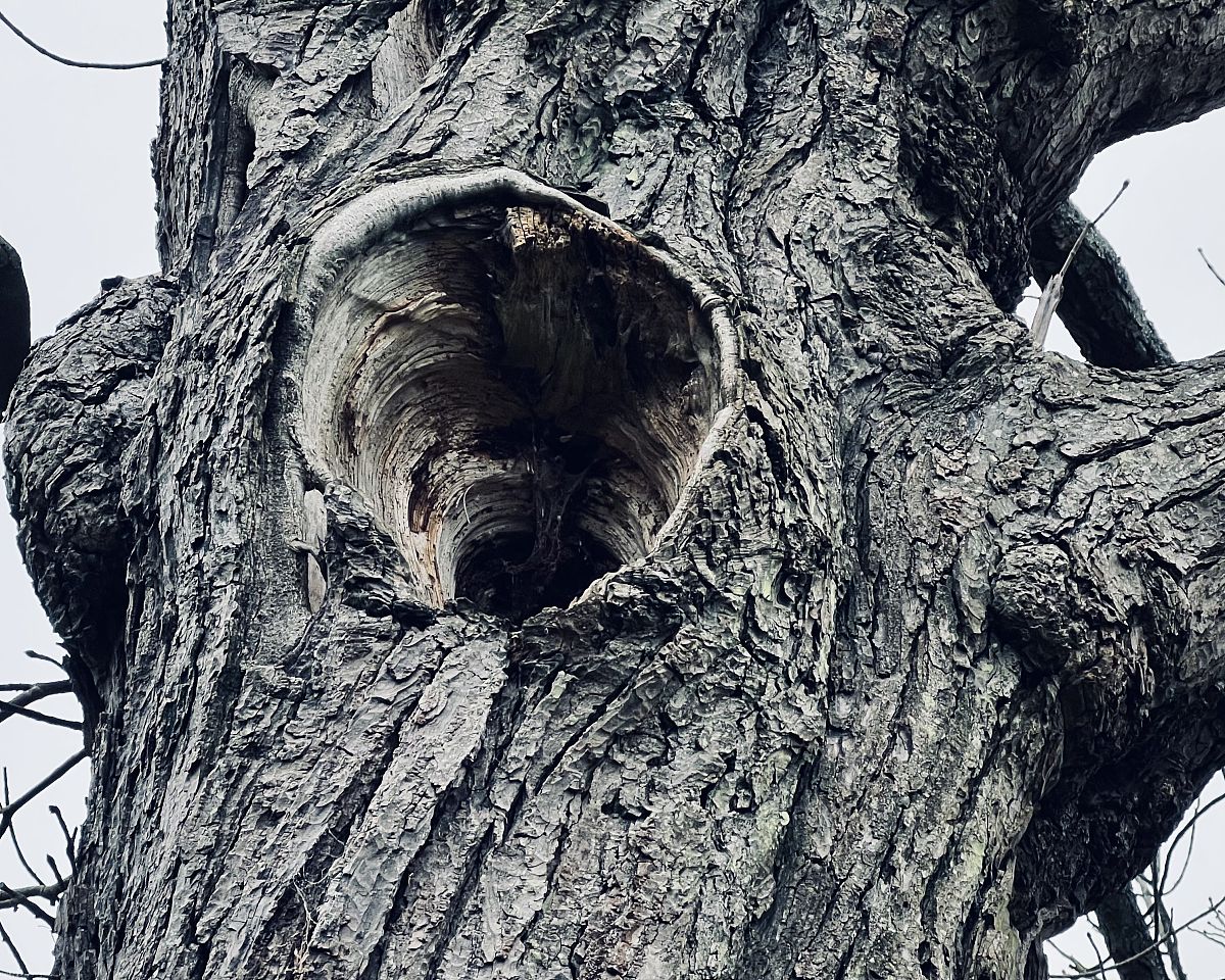 呼吸声是谁的？