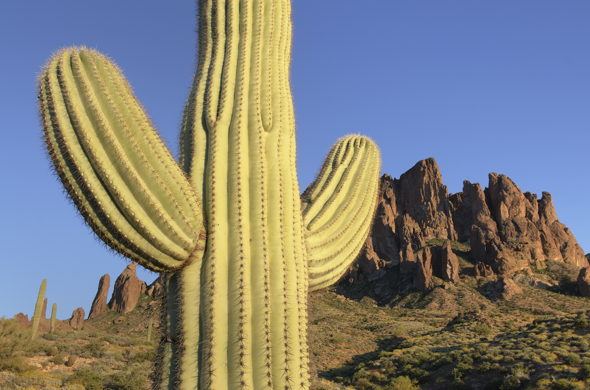 superstition mountains arizona