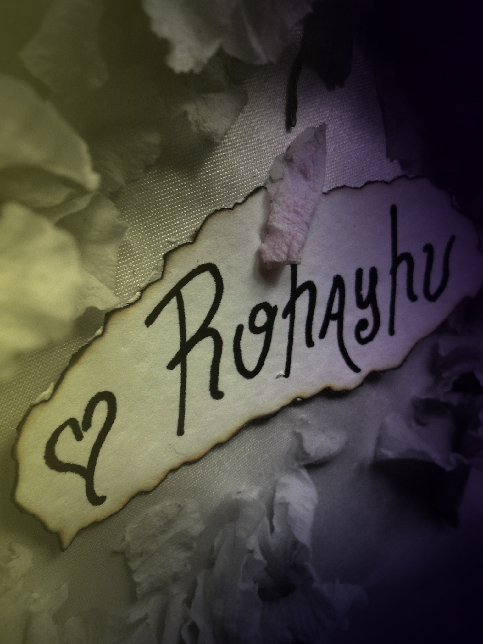 rohayhu word surrounded by lapacho flowers