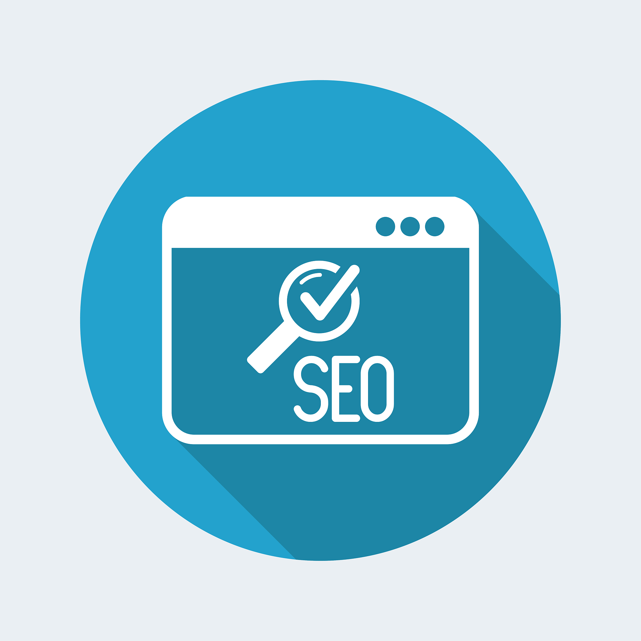 check for seo on computer window