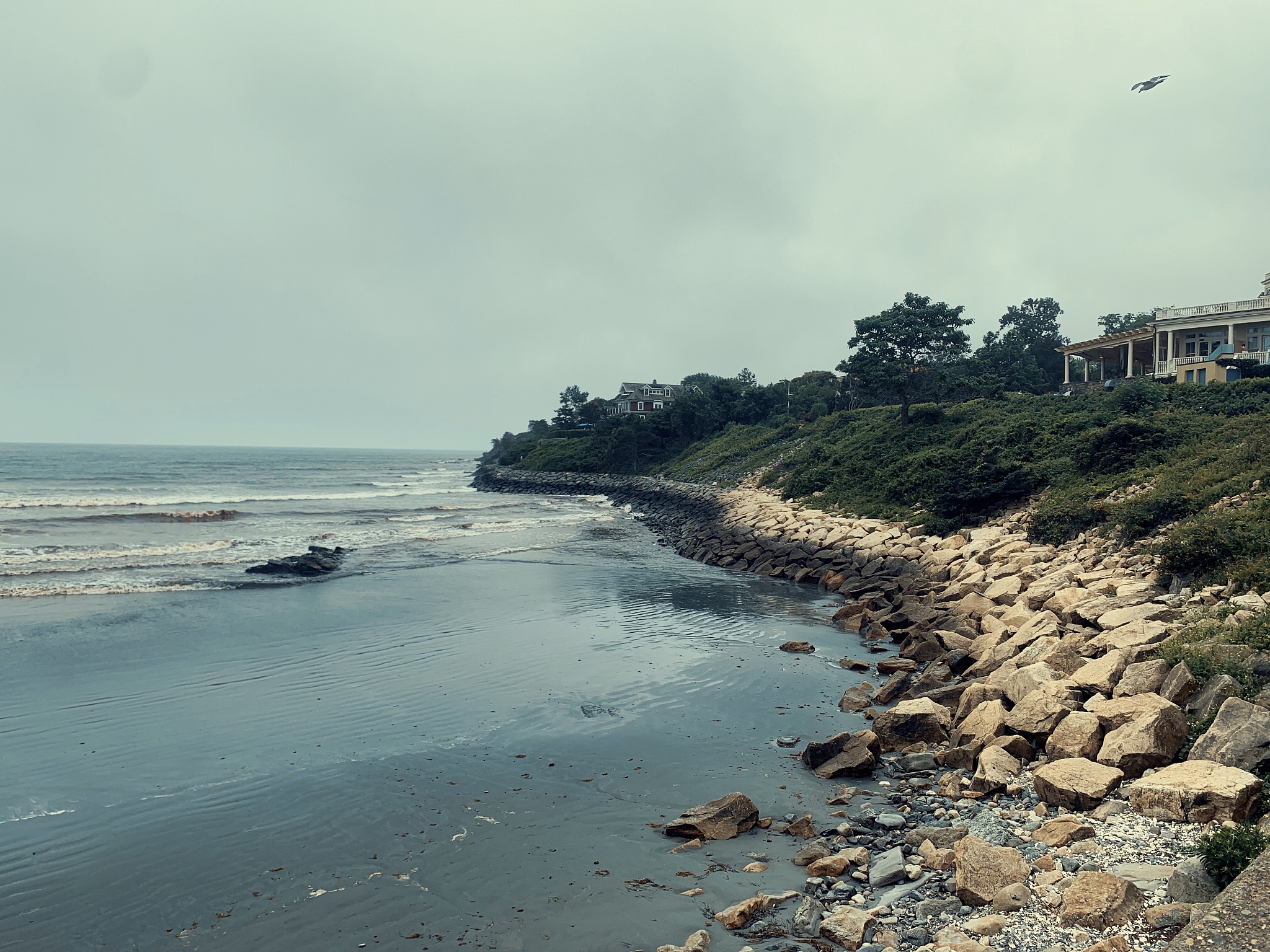 newport cliff walk