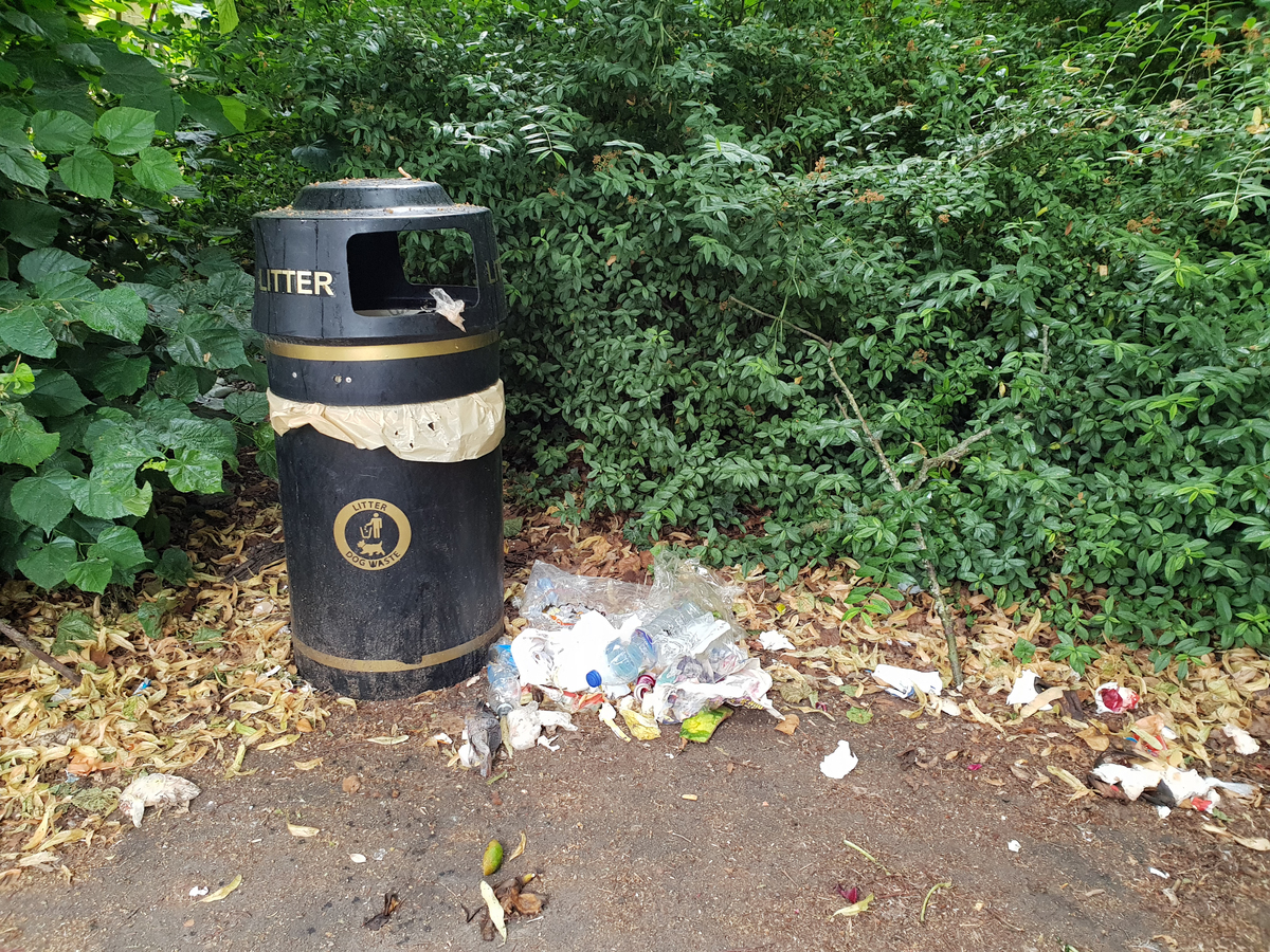 校园环境问题描述