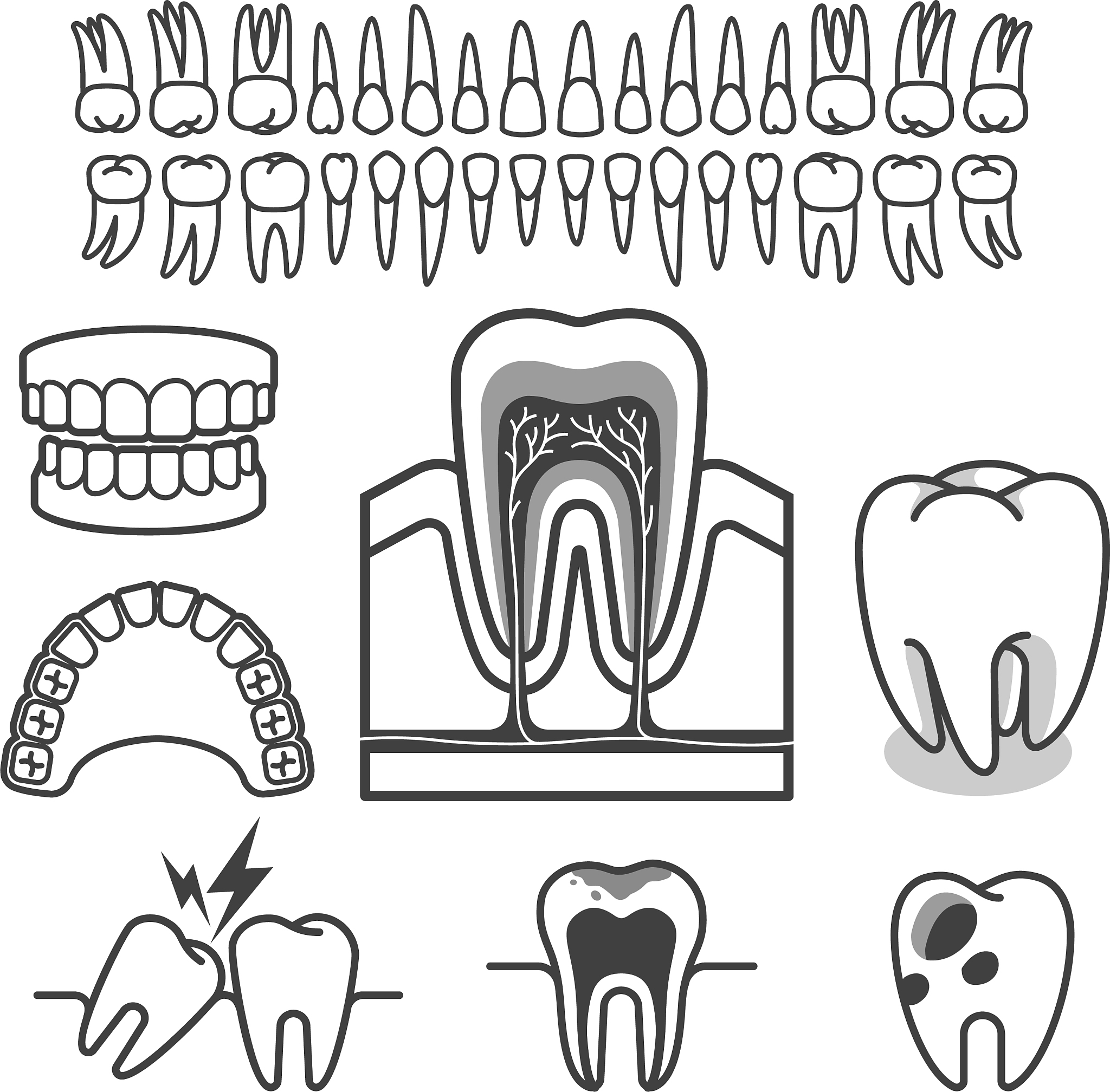 重庆市卫生高级技工学校口腔修复工艺专业学什么？就业前景如何？
