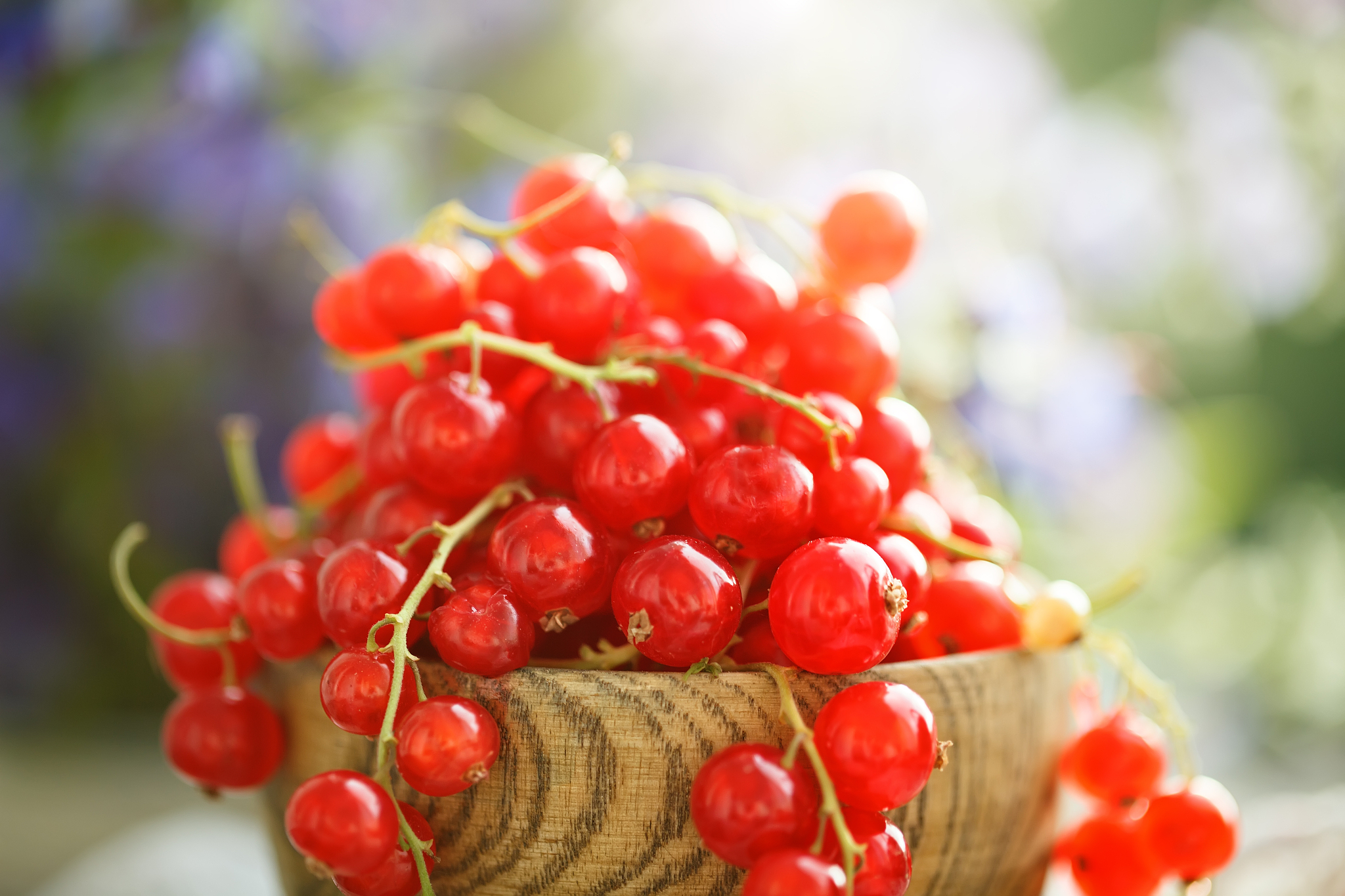 ripe red currant on a wooden table in the garden