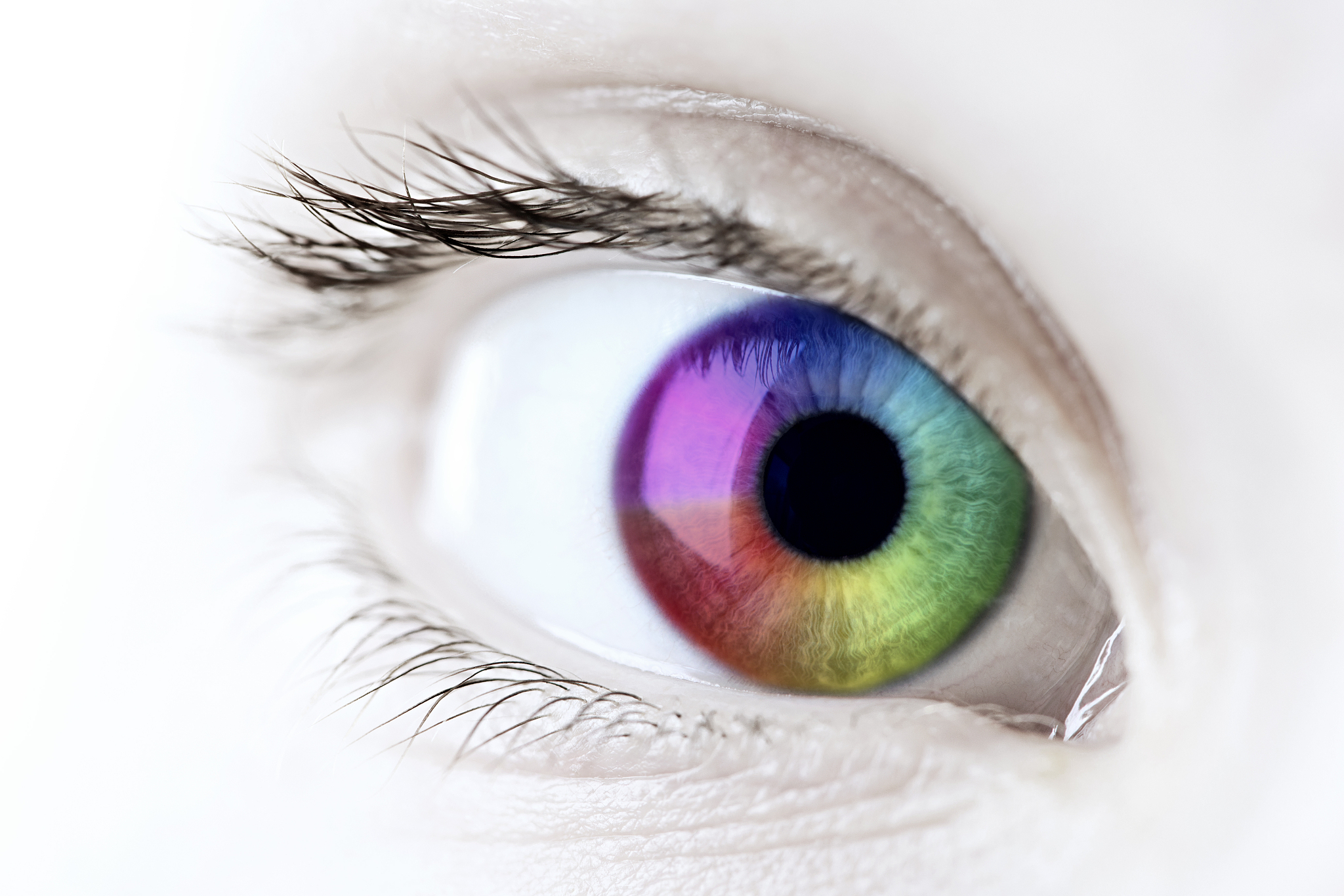 rainbow eye closeup