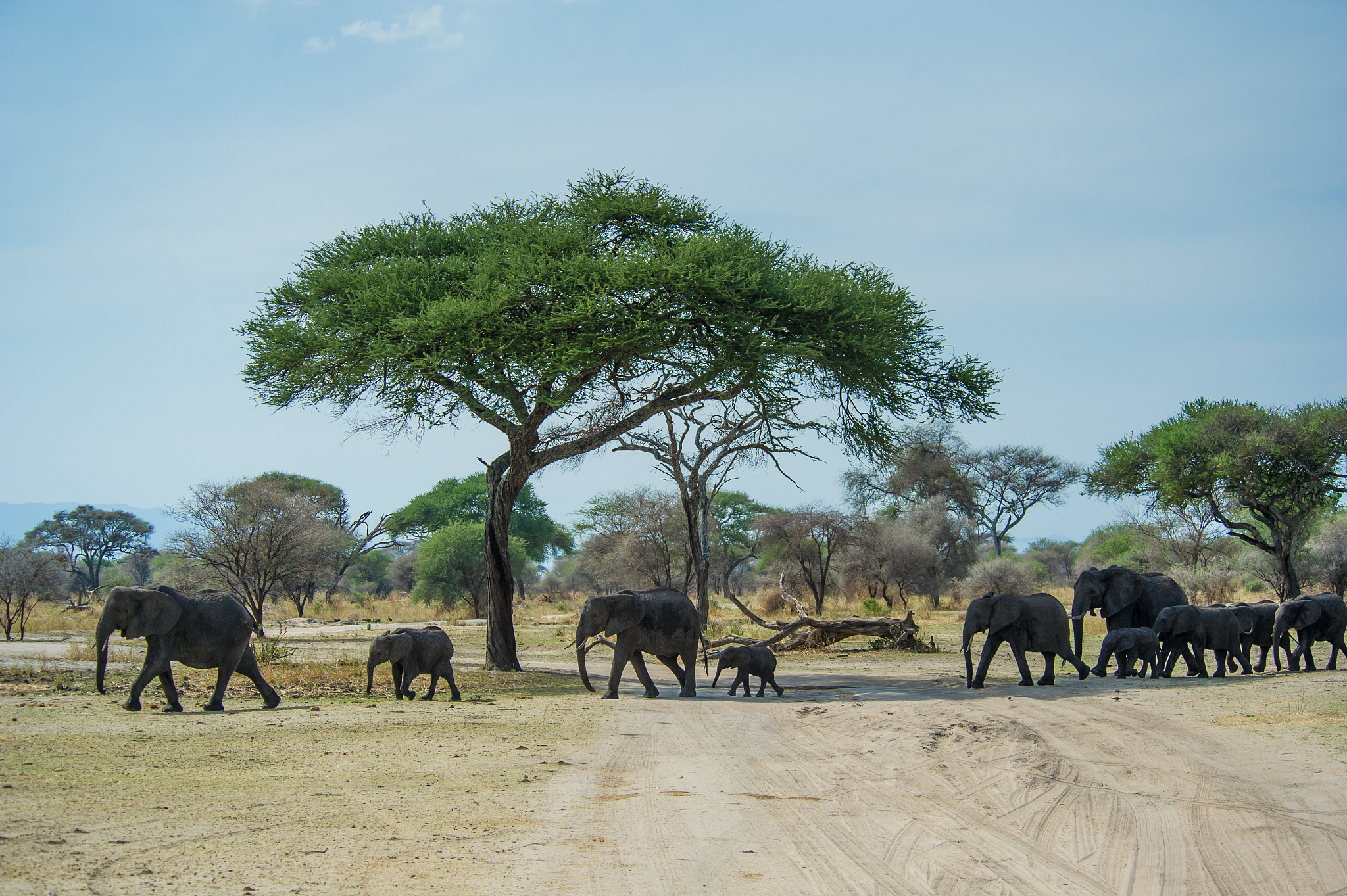 非洲哪些地方好玩