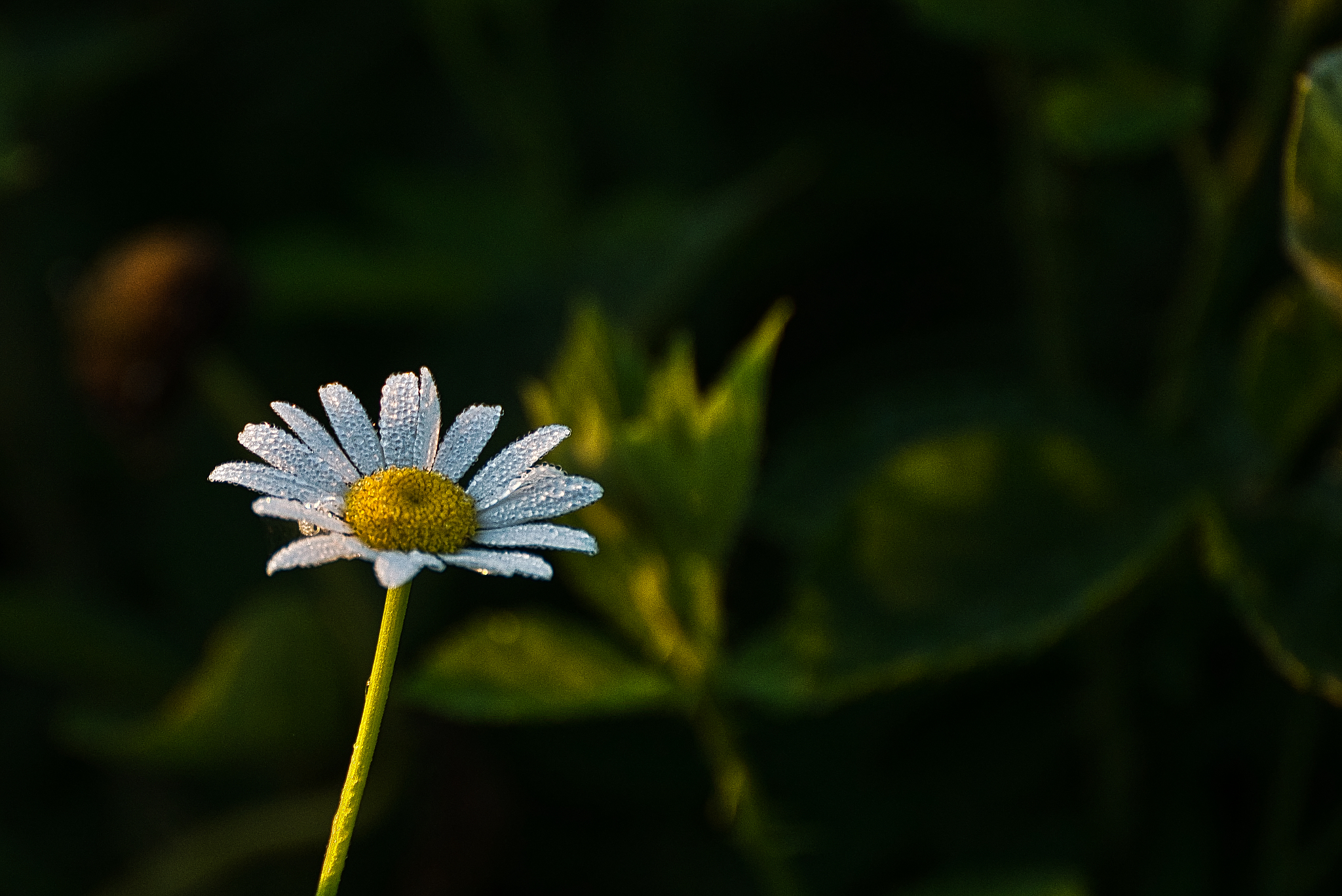 泰坦陨落2的对话