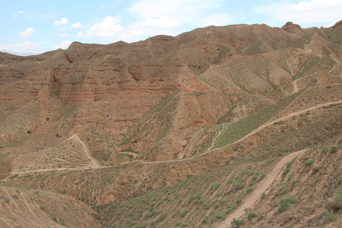 兰州兴隆山黄土成土条件分析：气候、地质、植被与土壤原料