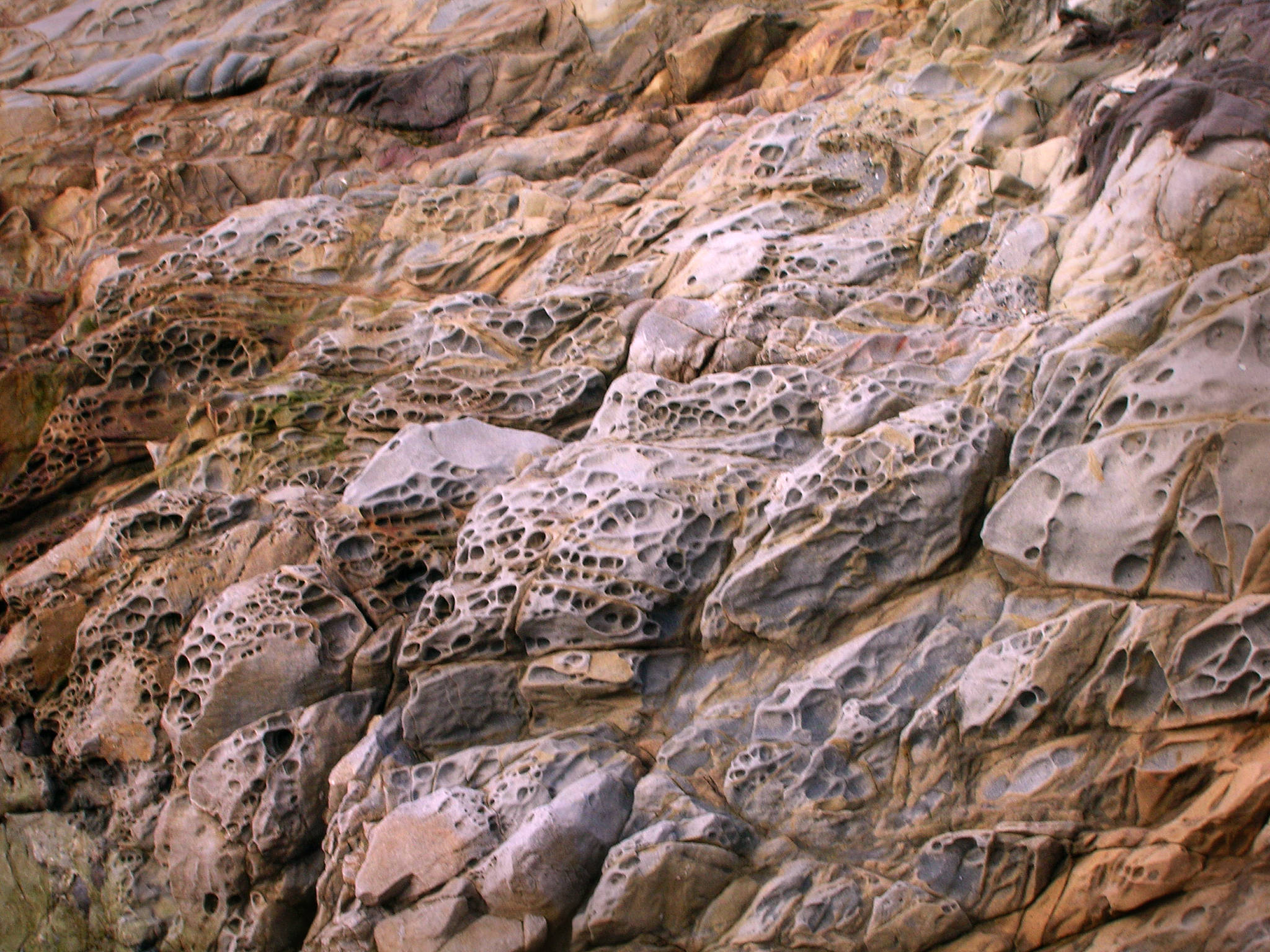 短轴背斜与共轭剪节理：地质构造中的重要特征