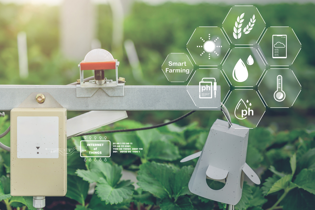 物联网智能温室大棚设计过程指导：关键问题解答