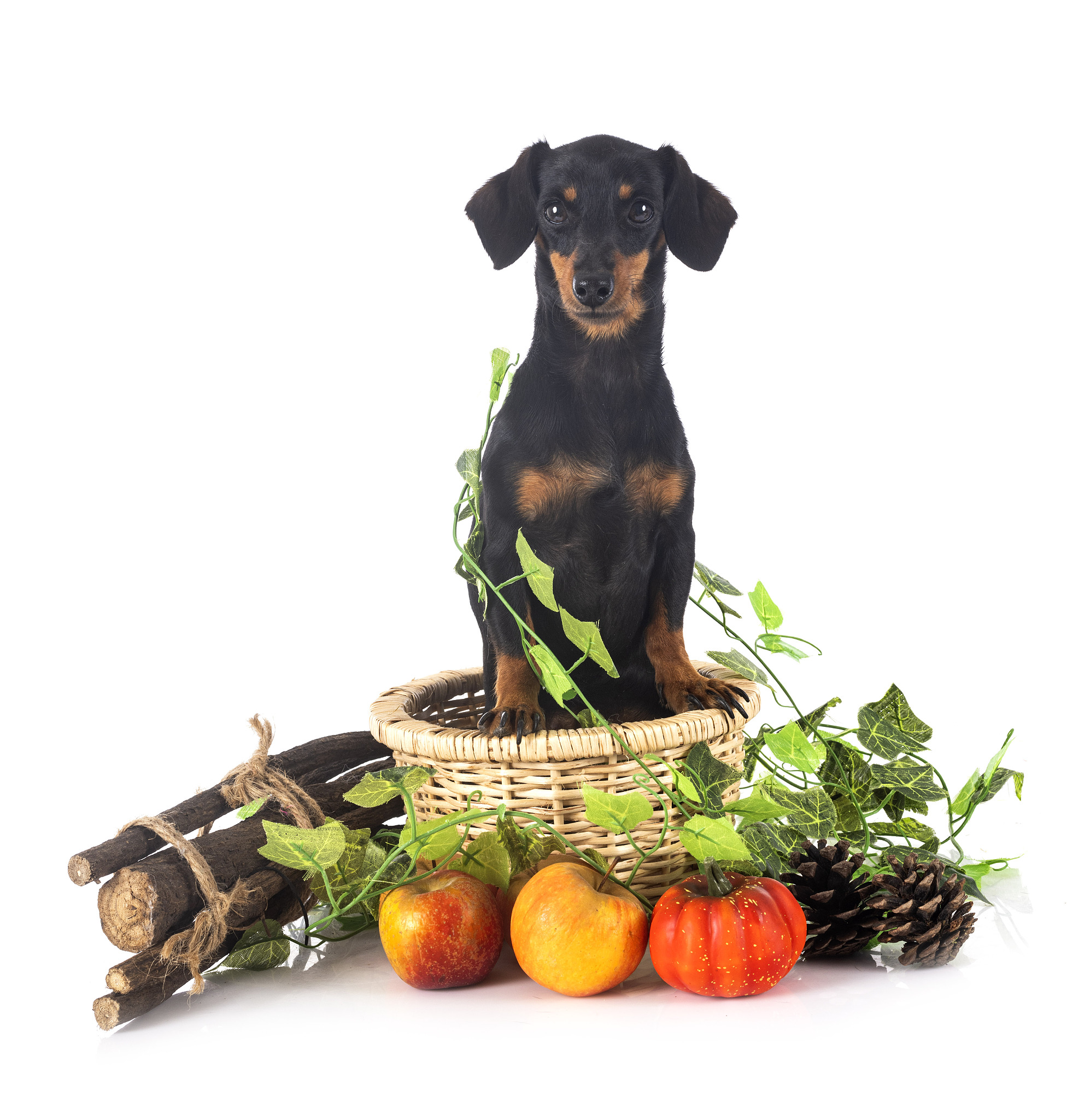 tan2a 公式：详解及证明过程