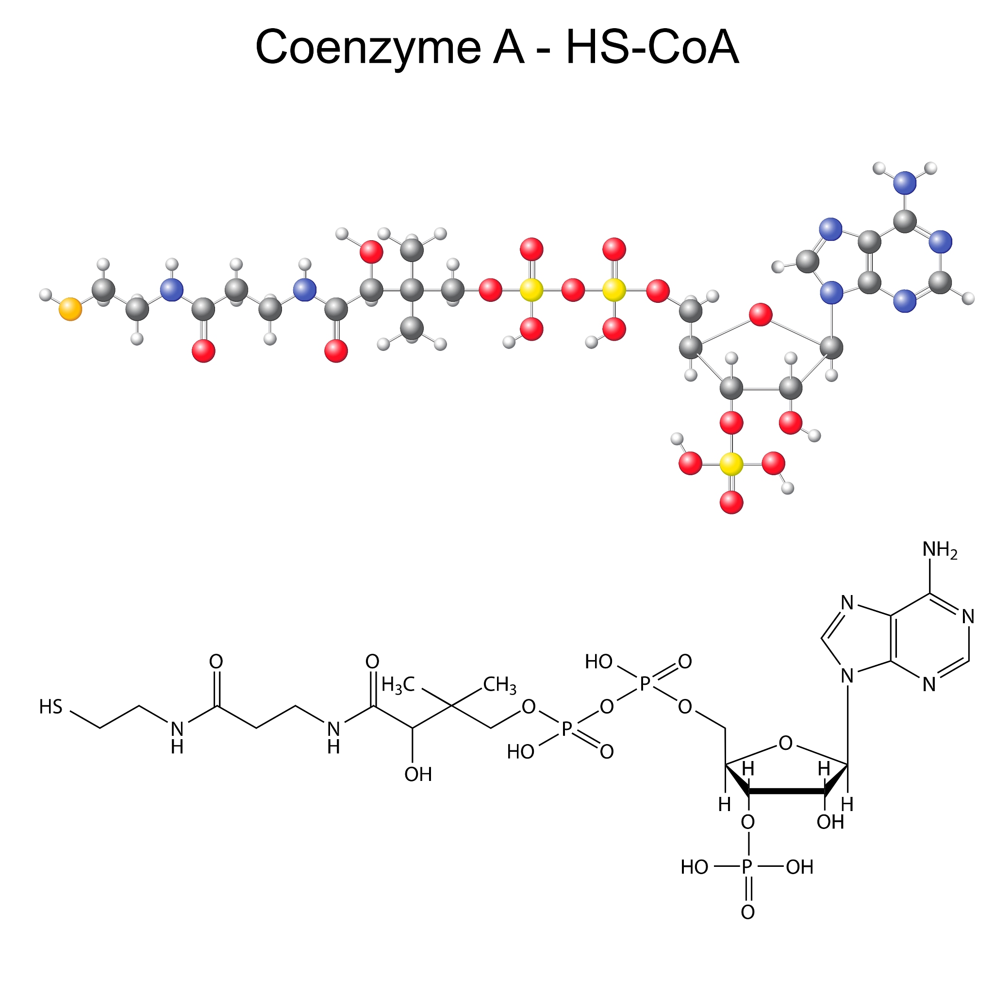 What is the role of Au & MIL-101 Fe on the adsorption of SPD What is the physics behindthe detection