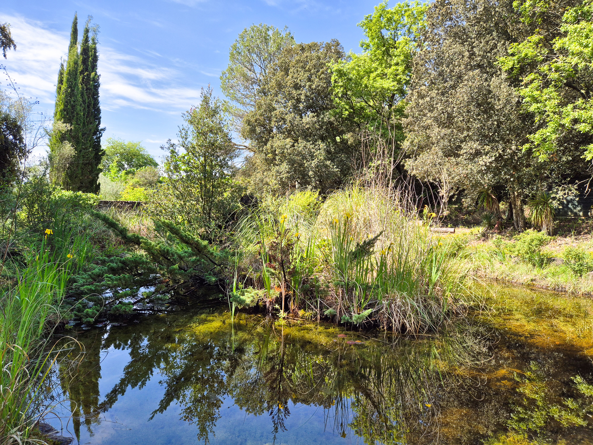 英国自然式风景园特征