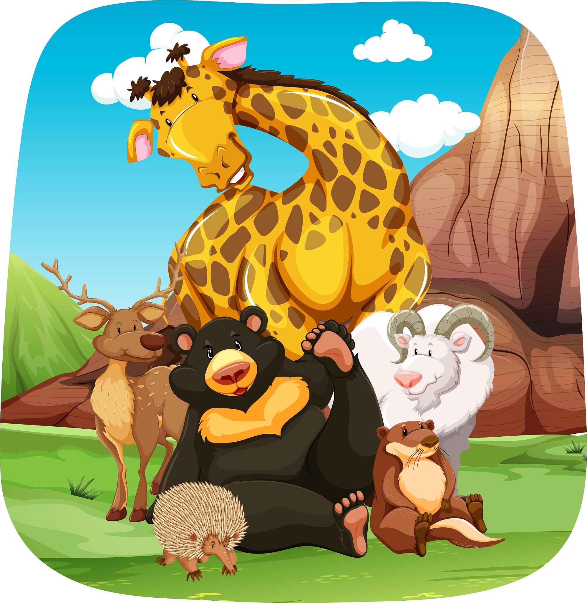 animals