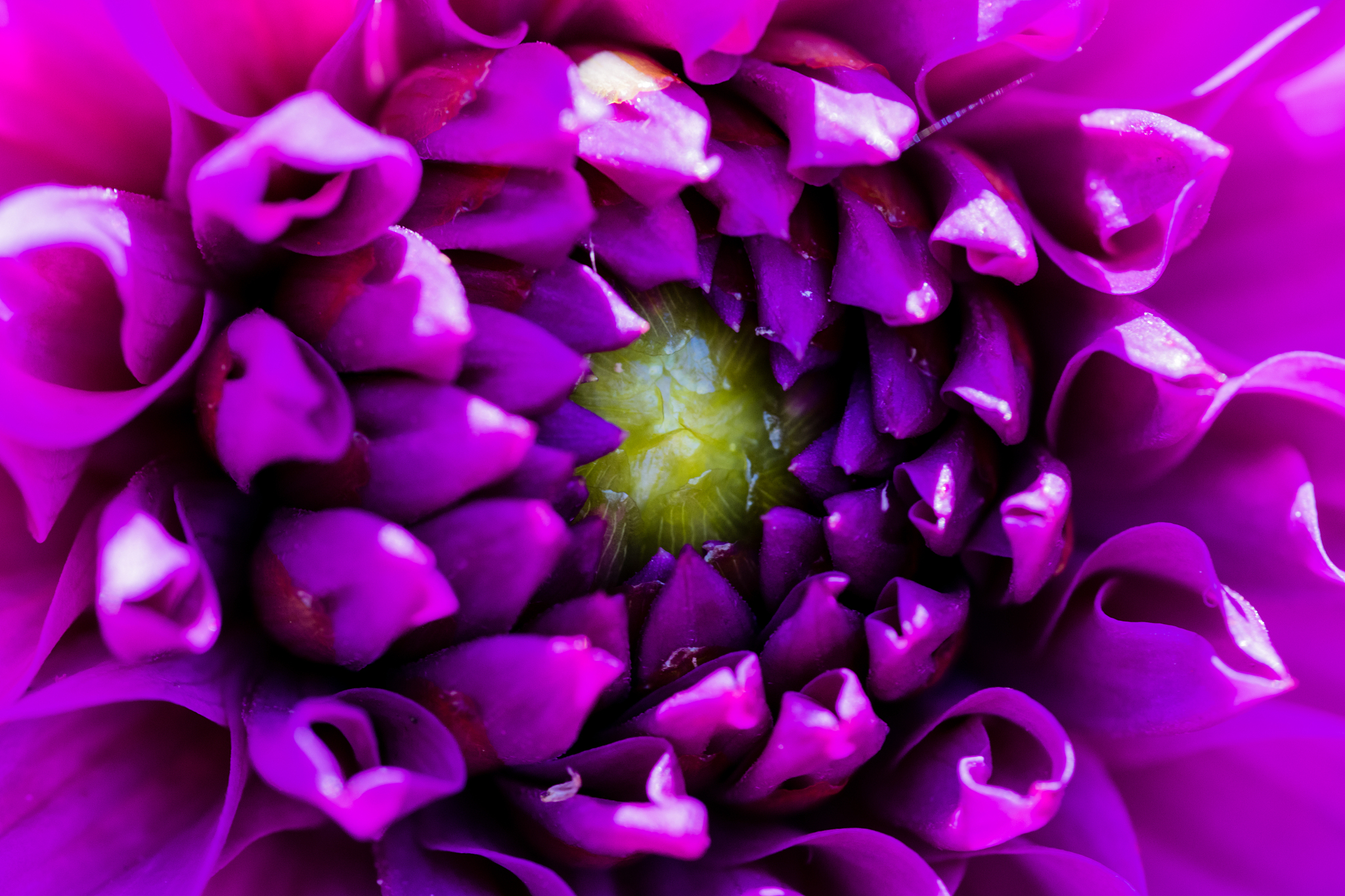 连续函数列的极限函数是否一定是连续函数？