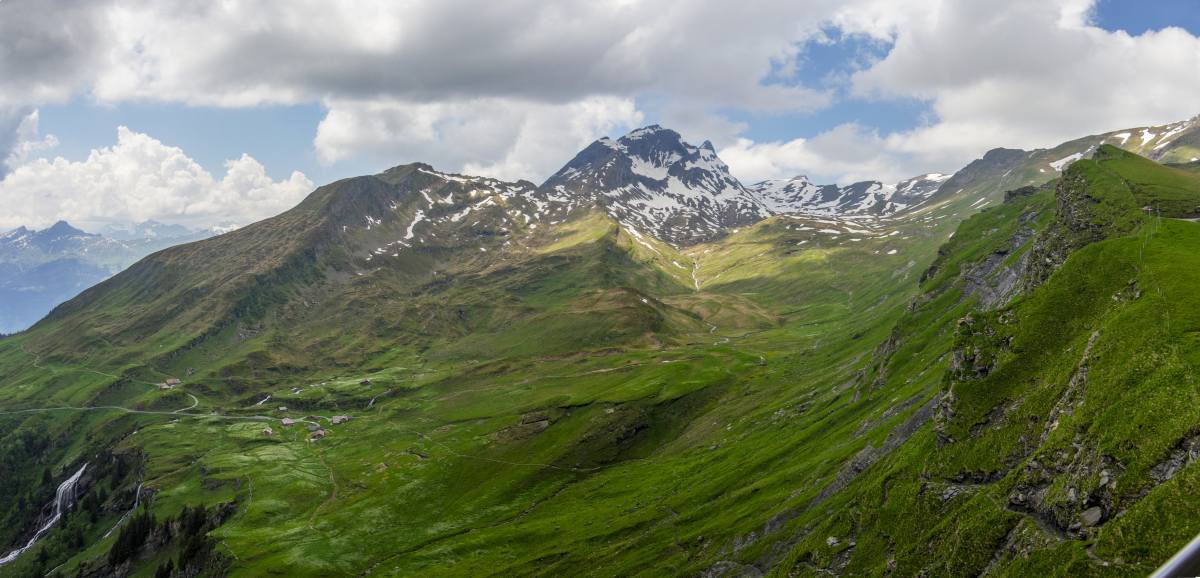 瑞士格林德瓦风景如画的绿色高山草甸和山脉