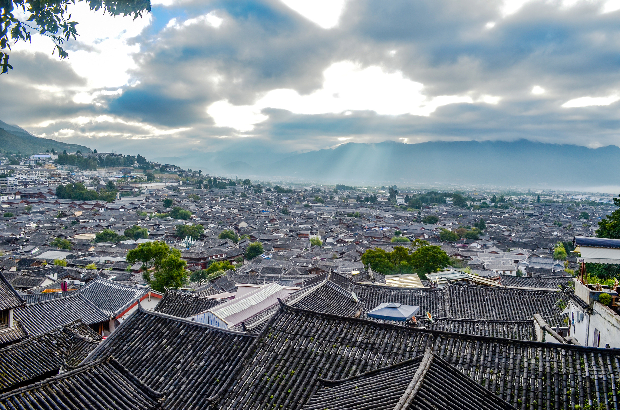 请模拟真实网络环境10个网友对下面这边内容发表评论：内容链接httpsmisyunnancom#pagesindexsinfodetailinfodetailinfoId=421