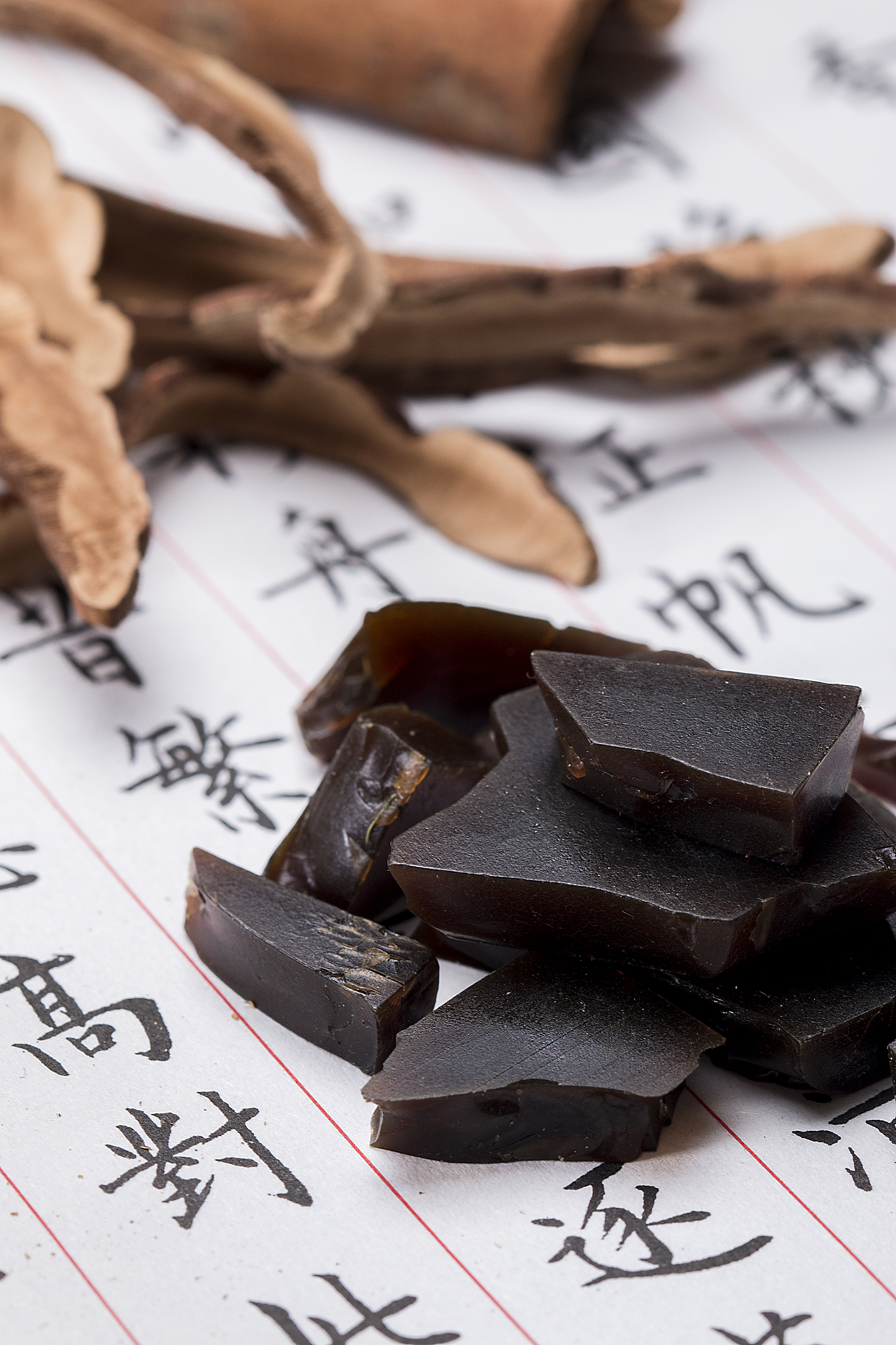 保山中医药高等专科学校2019年招生办联系电话