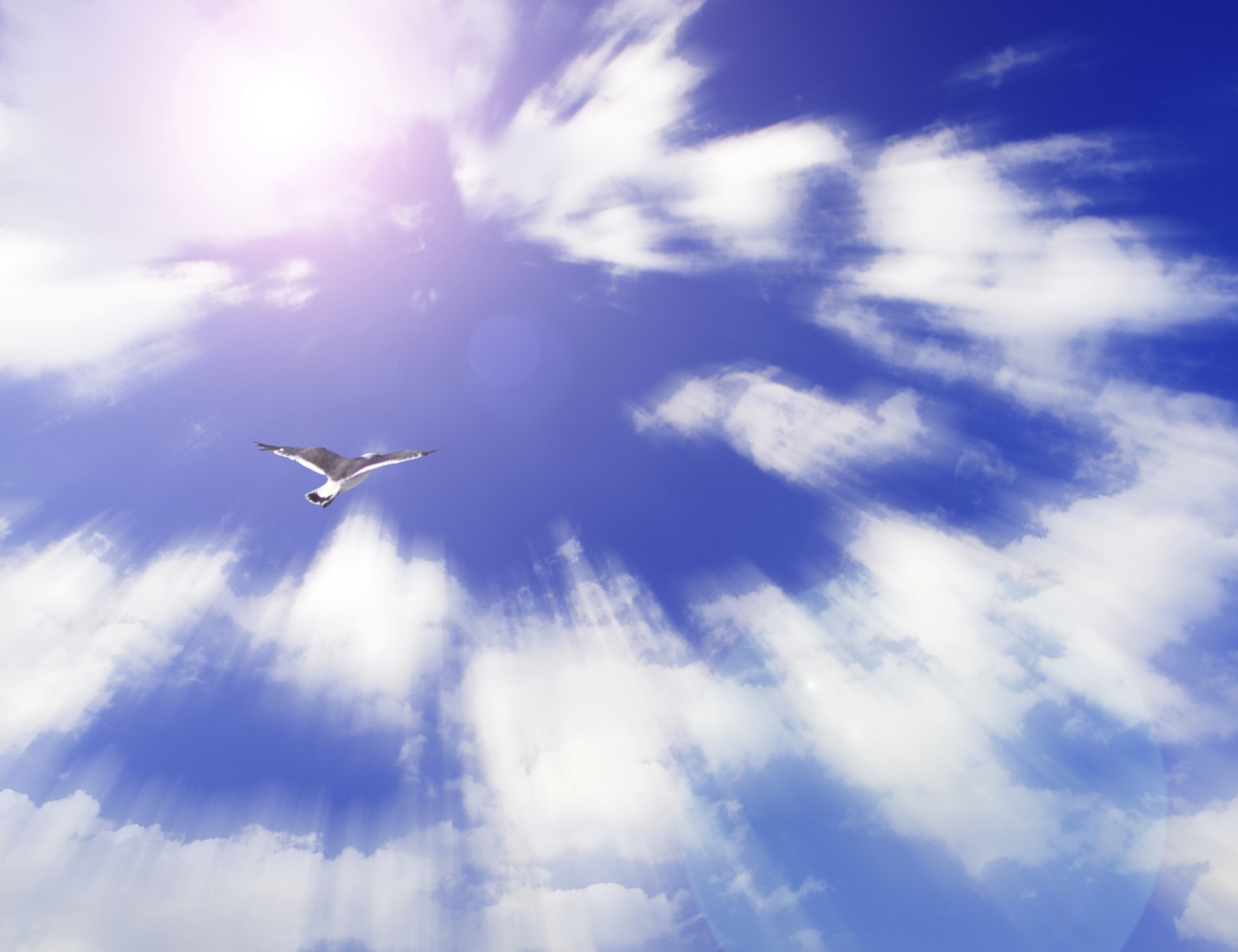 云端飞翔：体验自由与壮丽