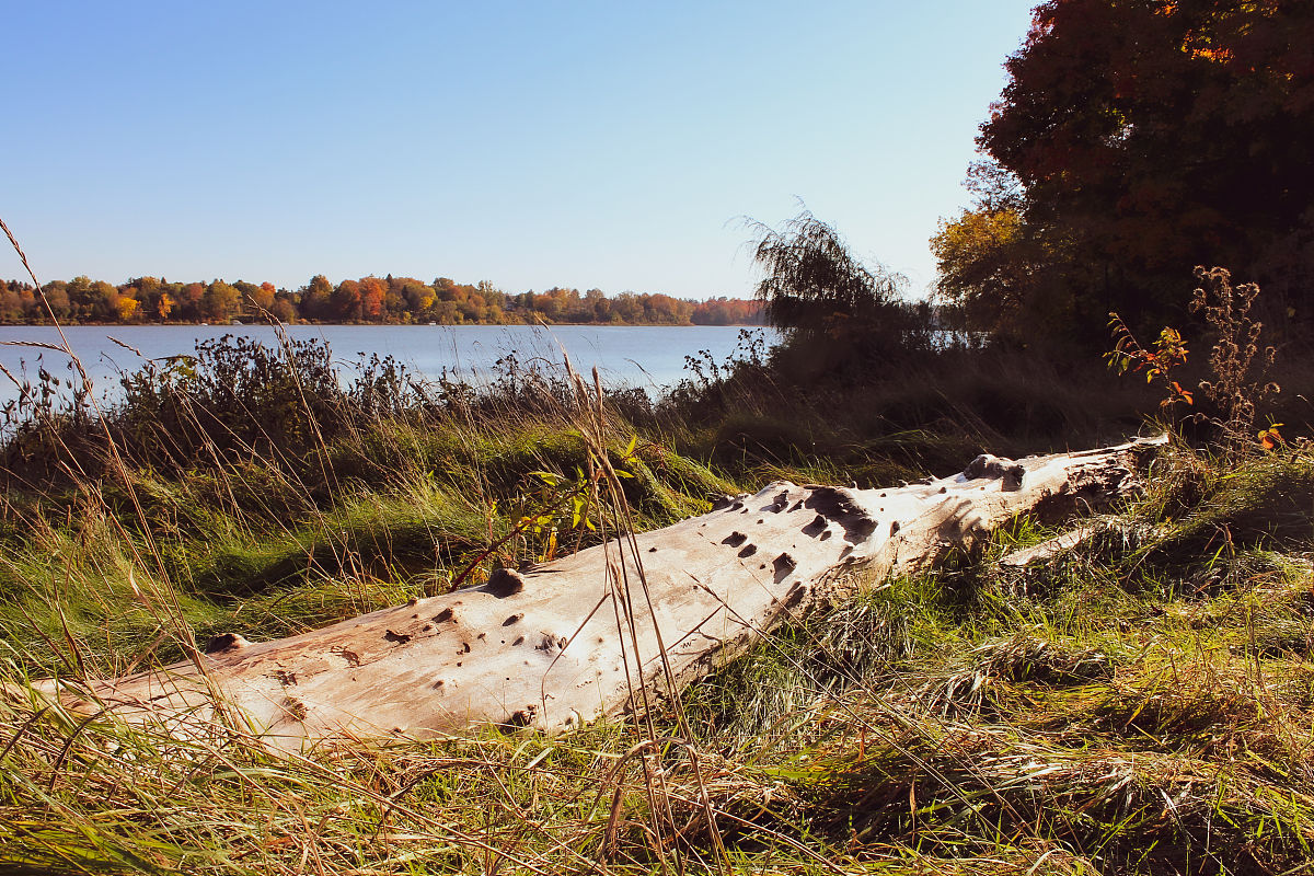 Java 统计日志文件错误日志数量和占比 - 代码示例