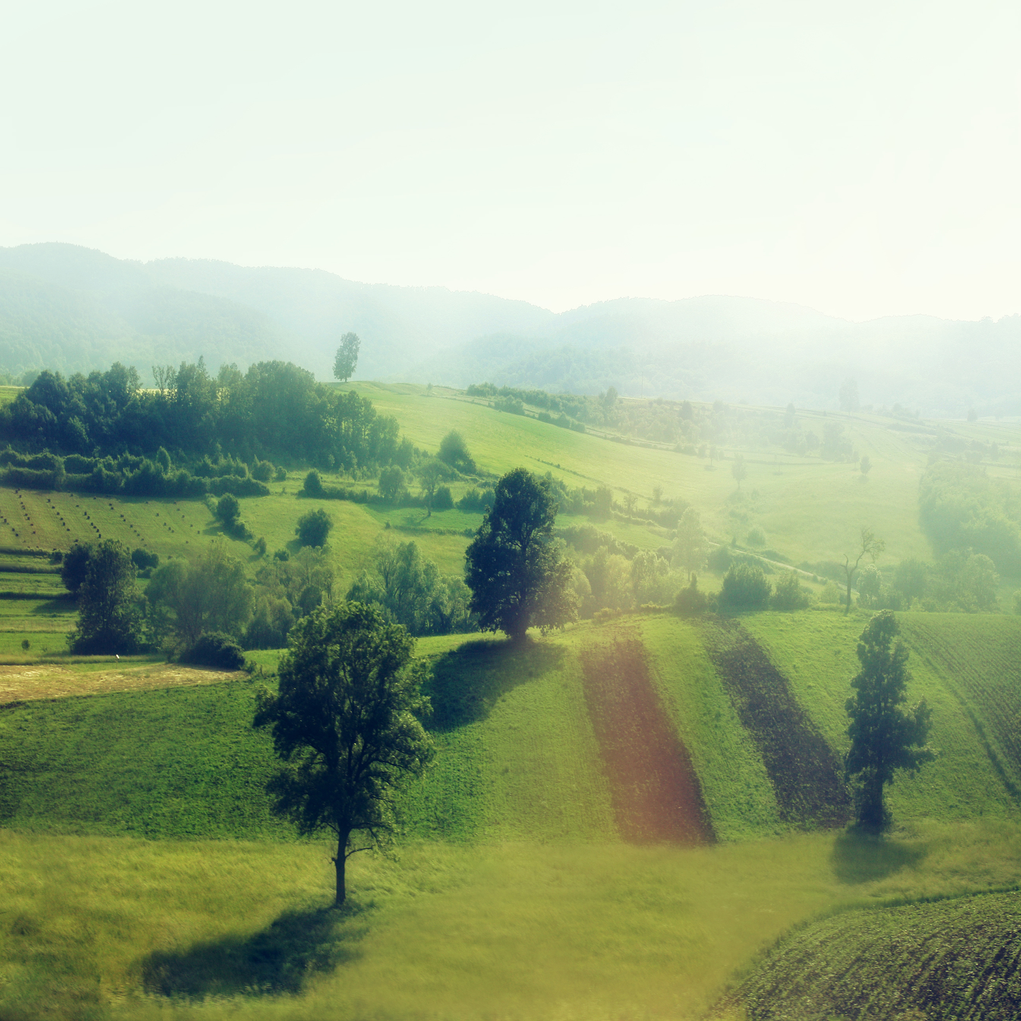 乡村清晨：充满生机与活力