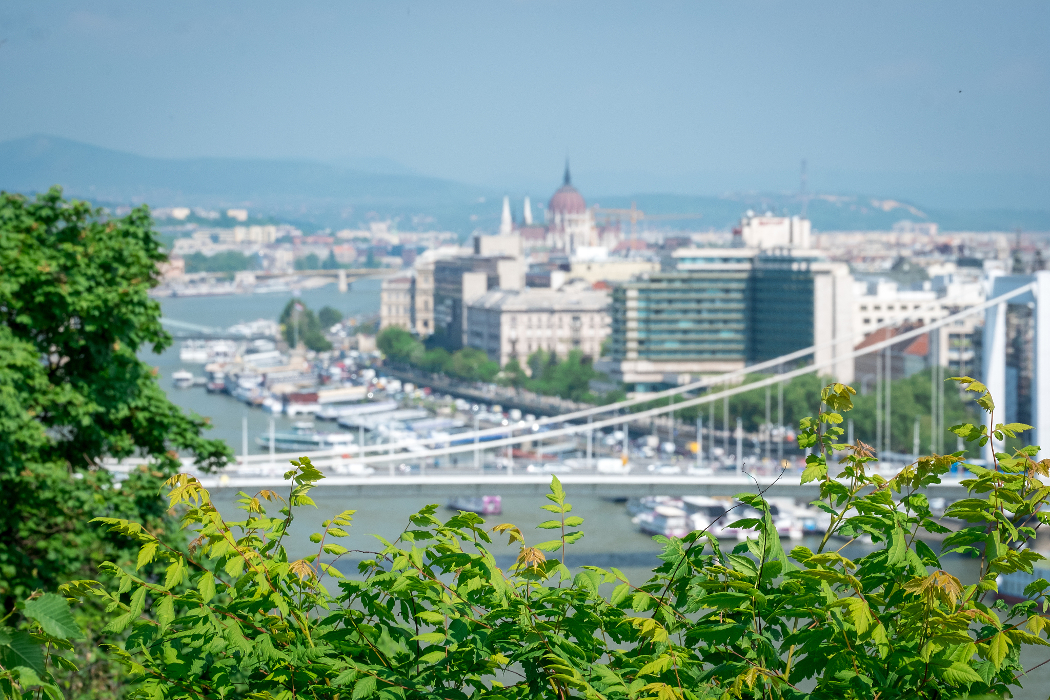 budapest cityscape with hungarian parliament building and danube