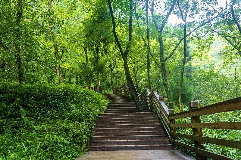 上成都铁路学校成绩和技术哪方面更重要