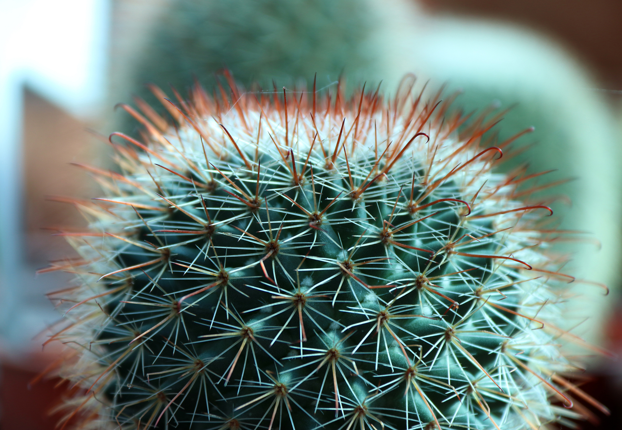 TRENDS IN PLANT SCIENCE：涵盖植物科学各个领域的研究期刊