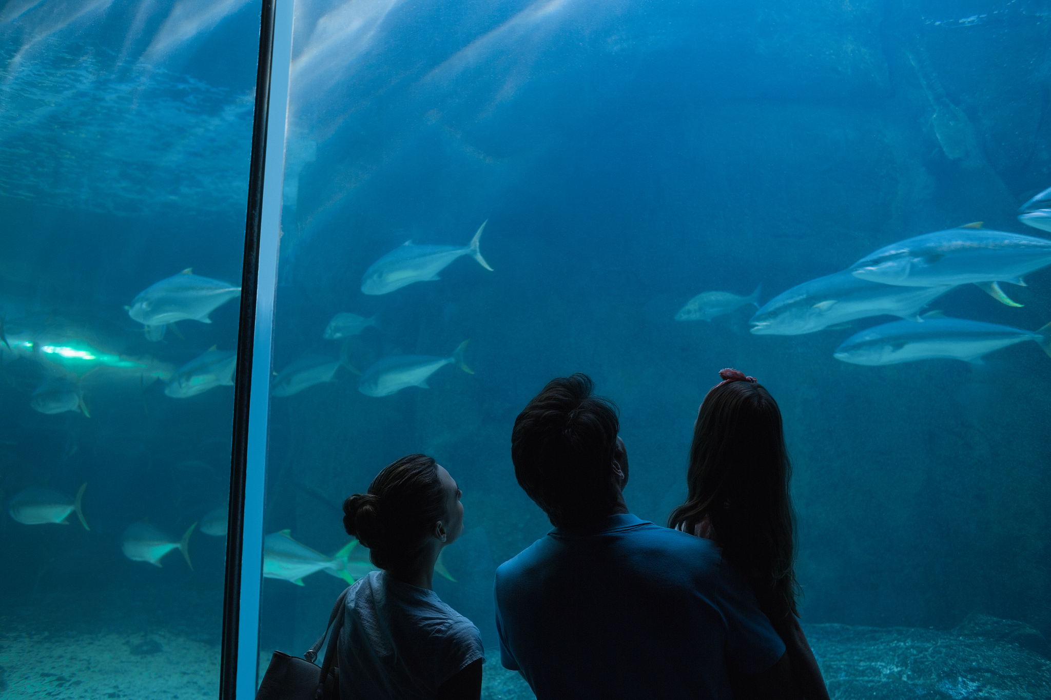 happy family looking at fish tank