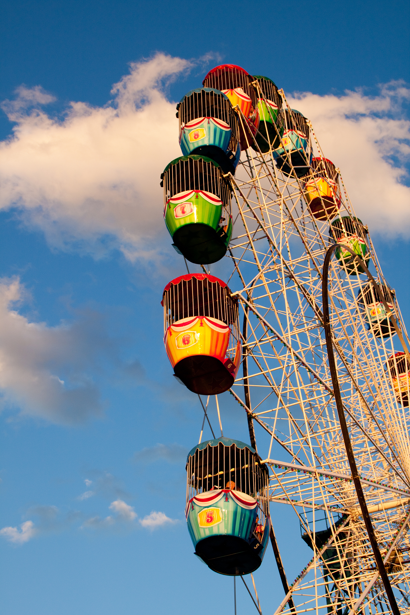 奖励旅游对澳大利亚商务会奖旅游公司的利益和挑战