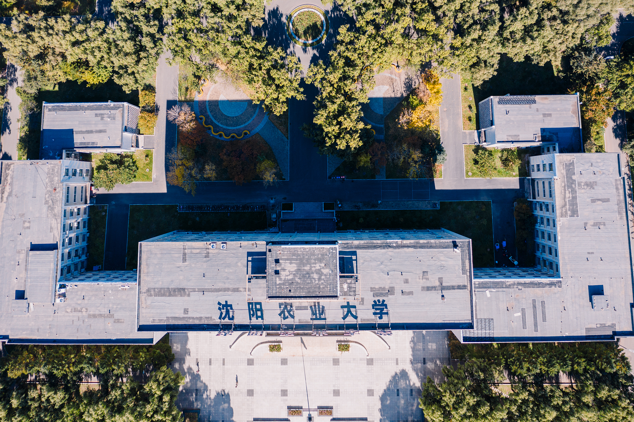 沈阳农业大学农业资源与环境专业实践教学体系详解