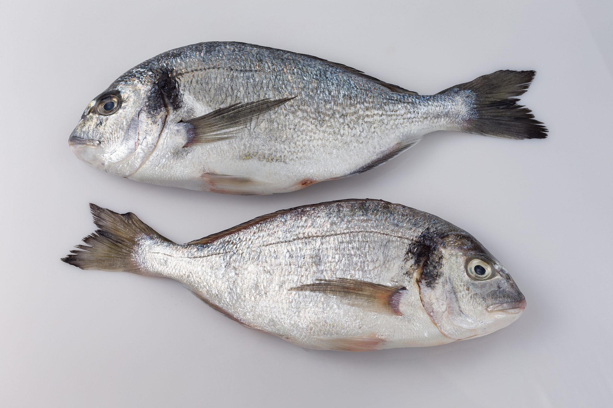 大便湿润粘稠：可能是消化不良或胃肠道疾病？