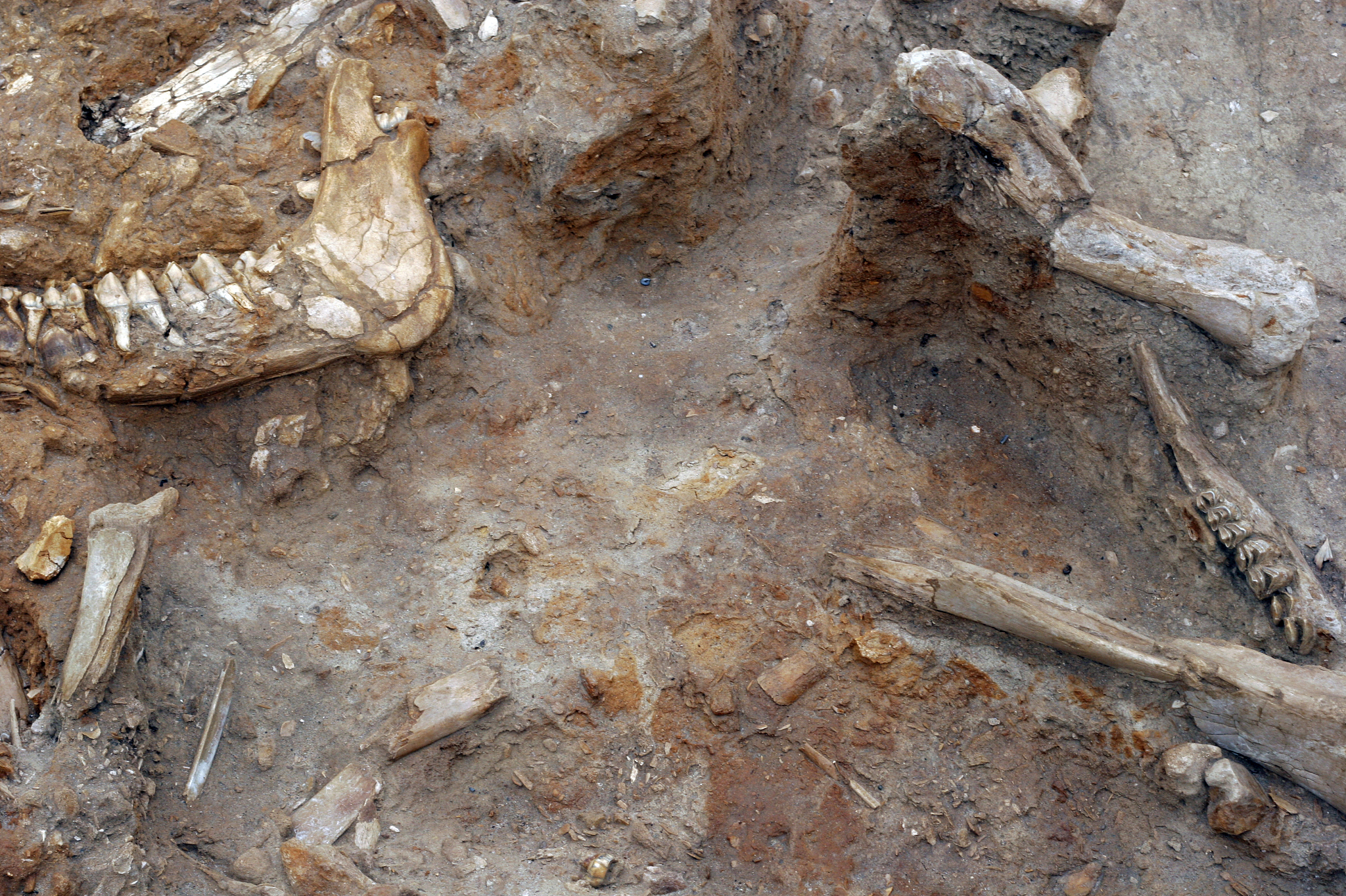 archaeology site
