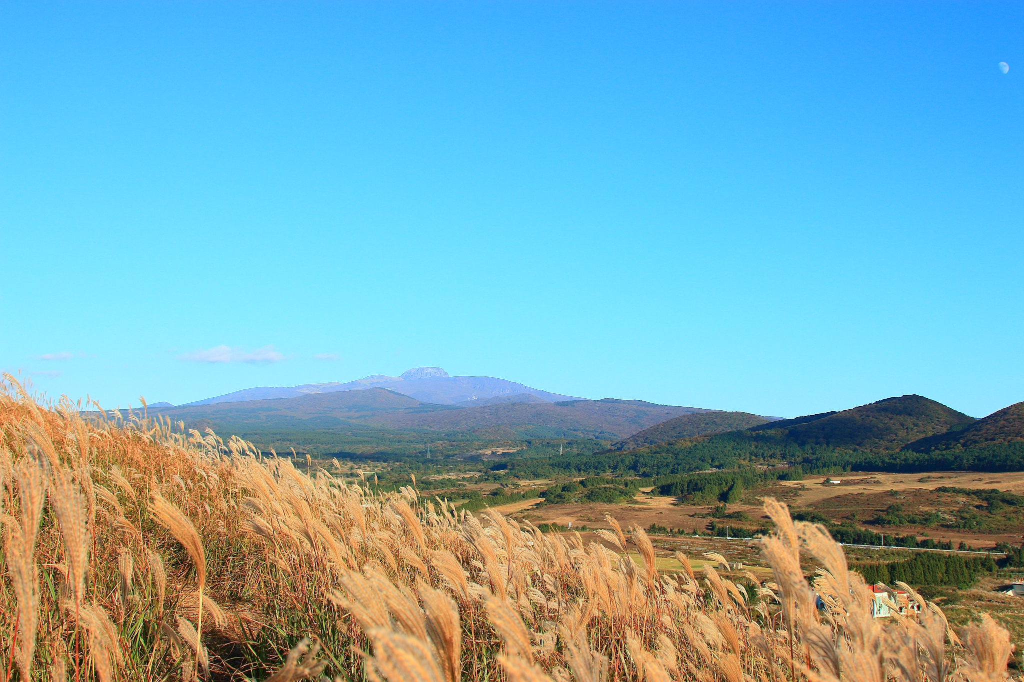 new star oreum, pampas, autumn, view,