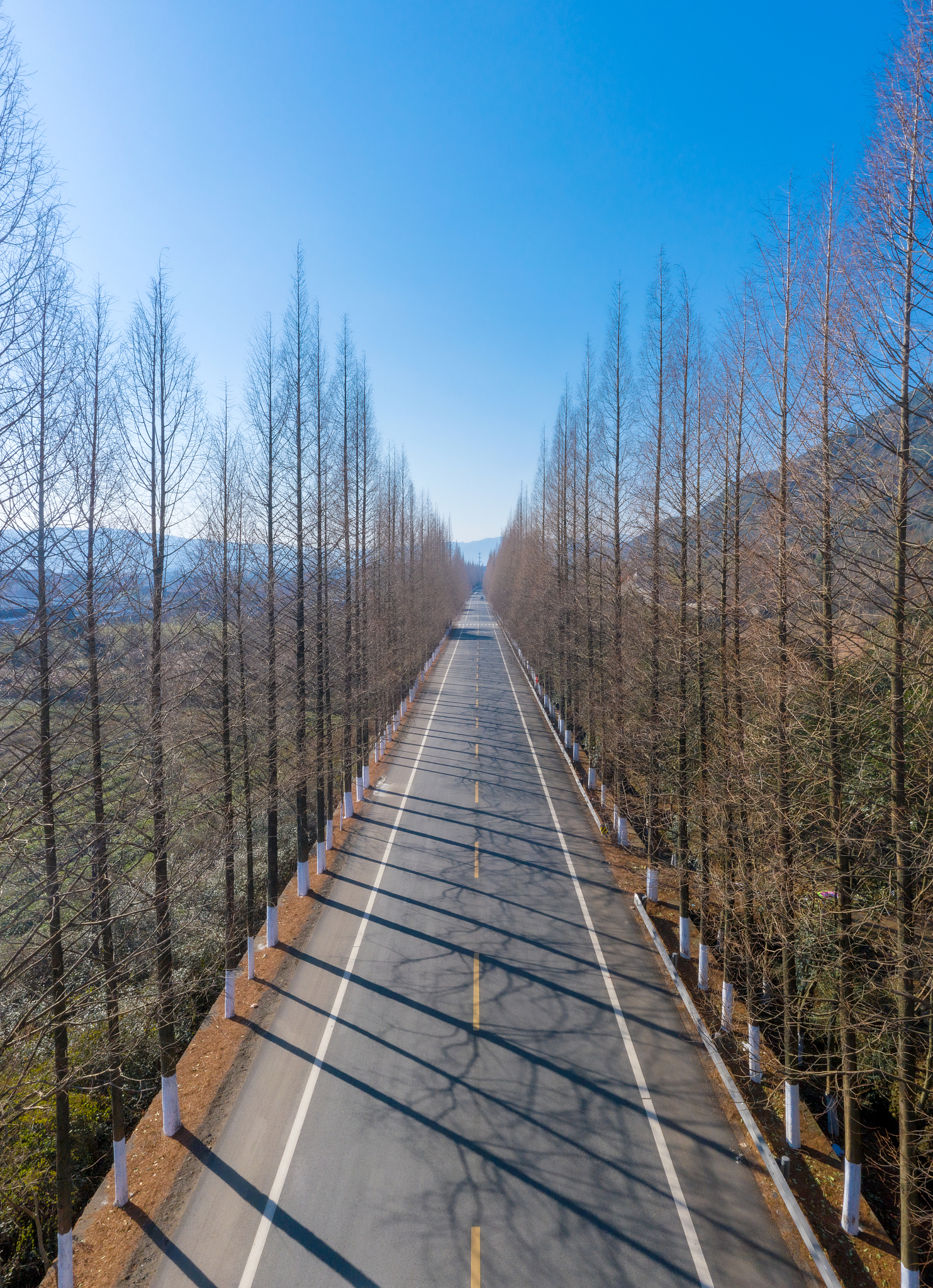 宁海第一职业学校招生电话 - 2022年招生信息及学校介绍