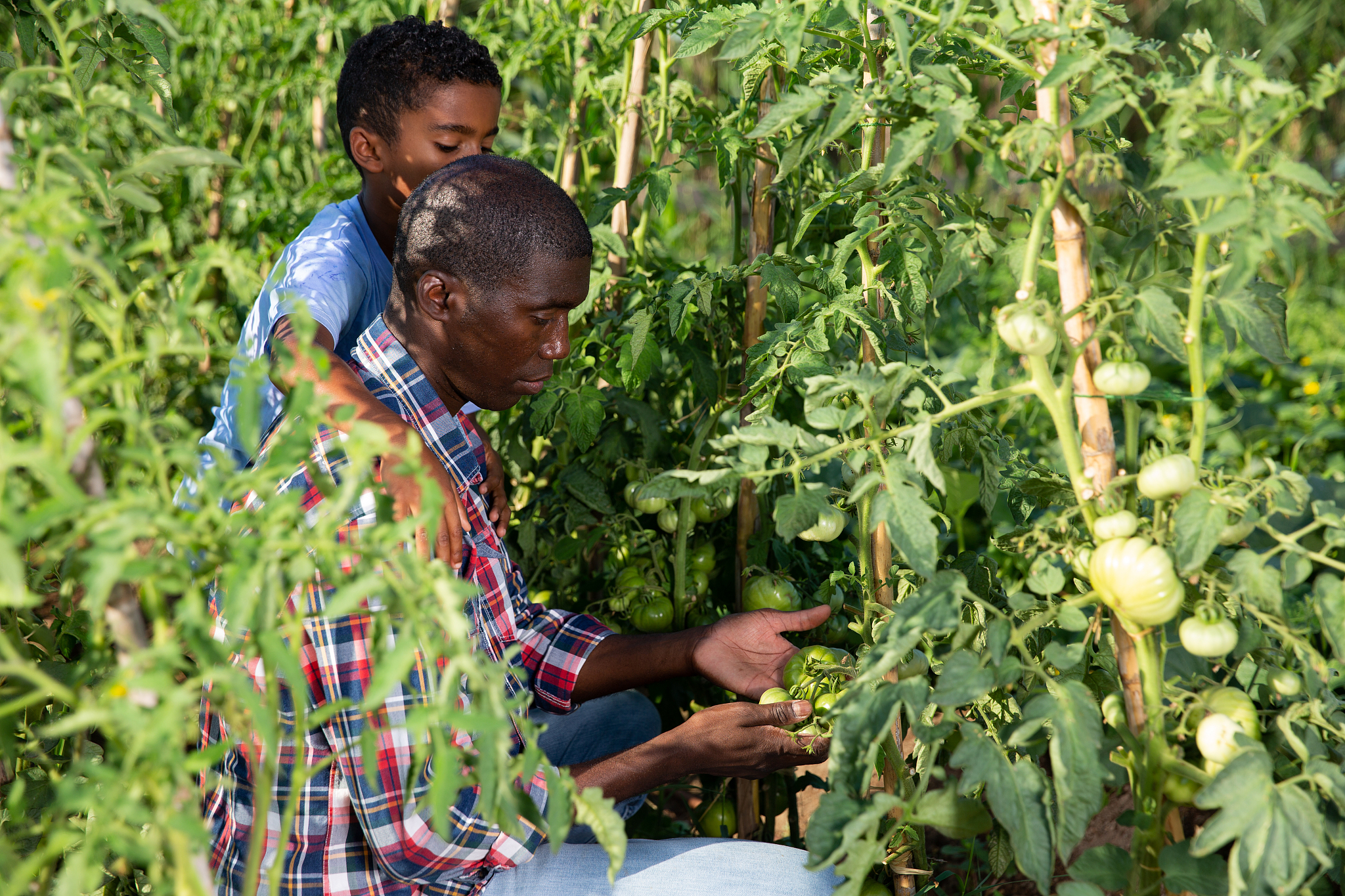 黑龙江农业经济职业学院物联网应用技术专业优势怎么样发展前景好不好呢