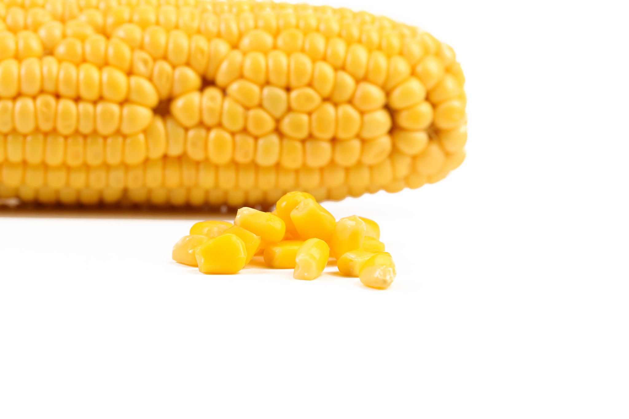 湖南生物机电职业技术学院种子生产与经营专业怎么样？就业前景及学习内容解析