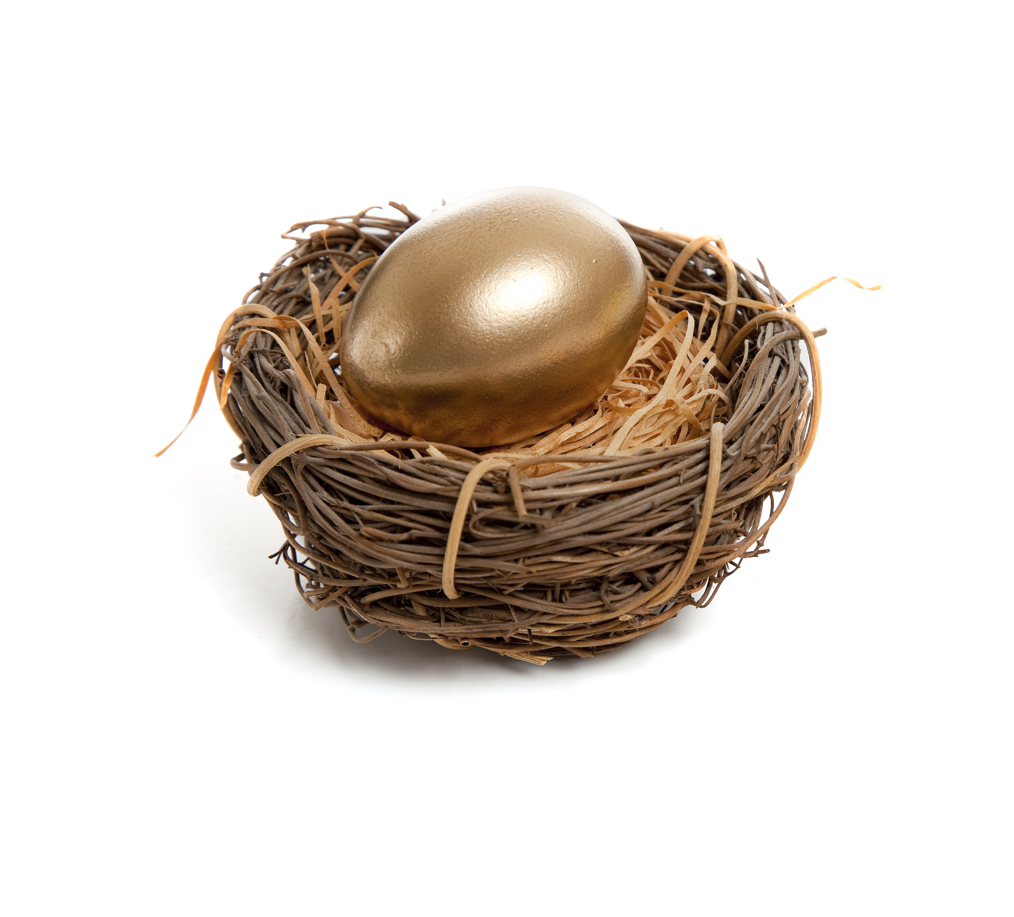 golden egg in nest
