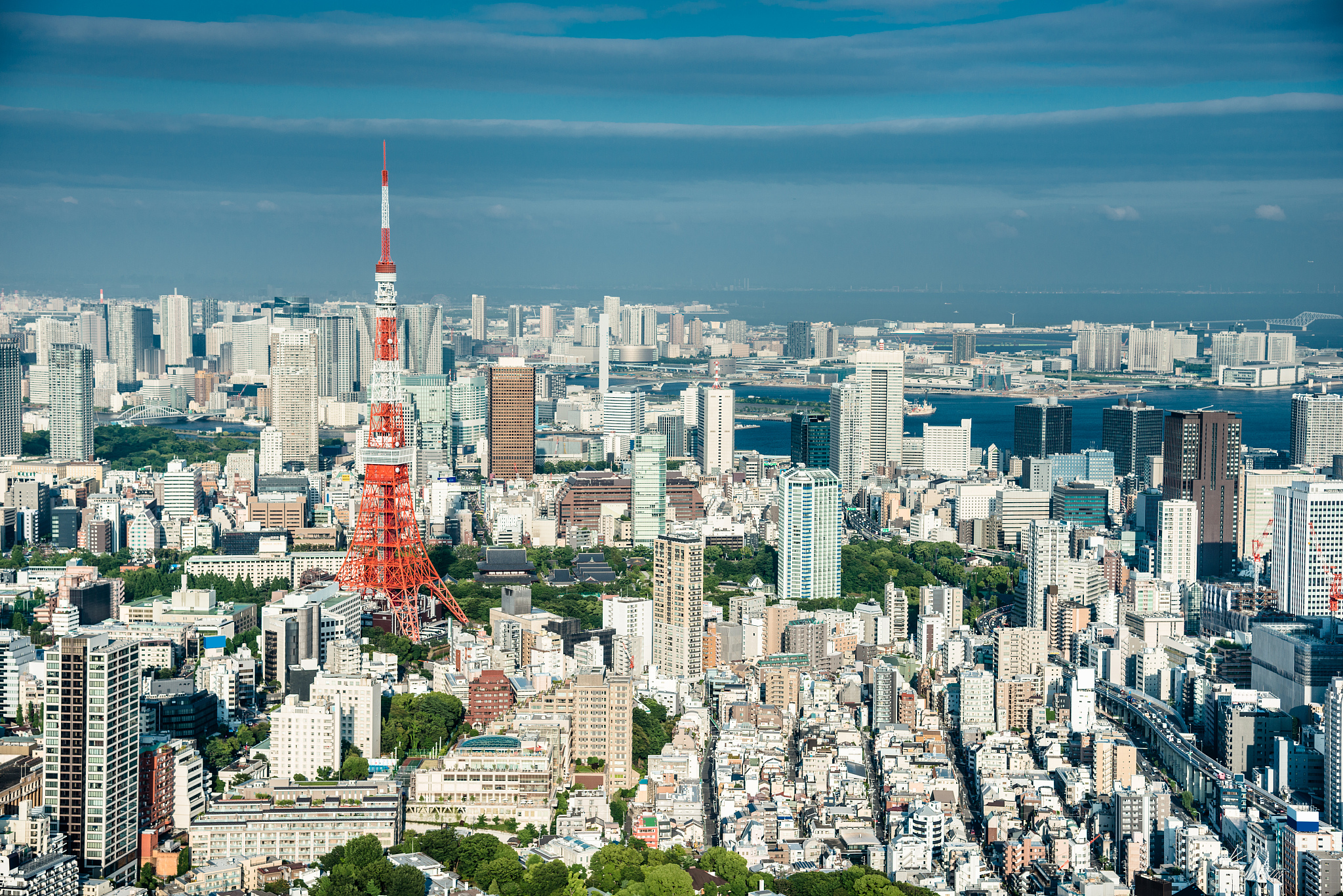 tokyo skyline with the tokyo tower