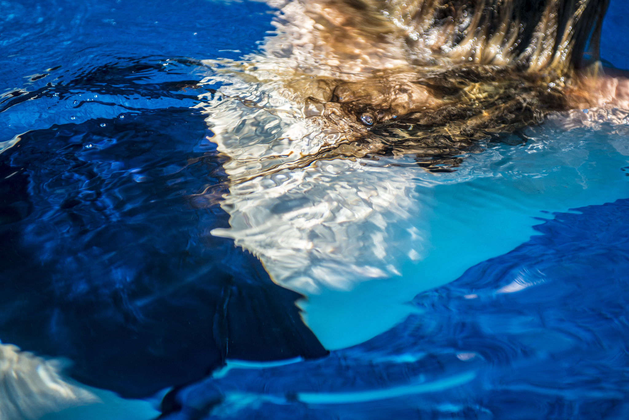 woman in swimming pool 6.