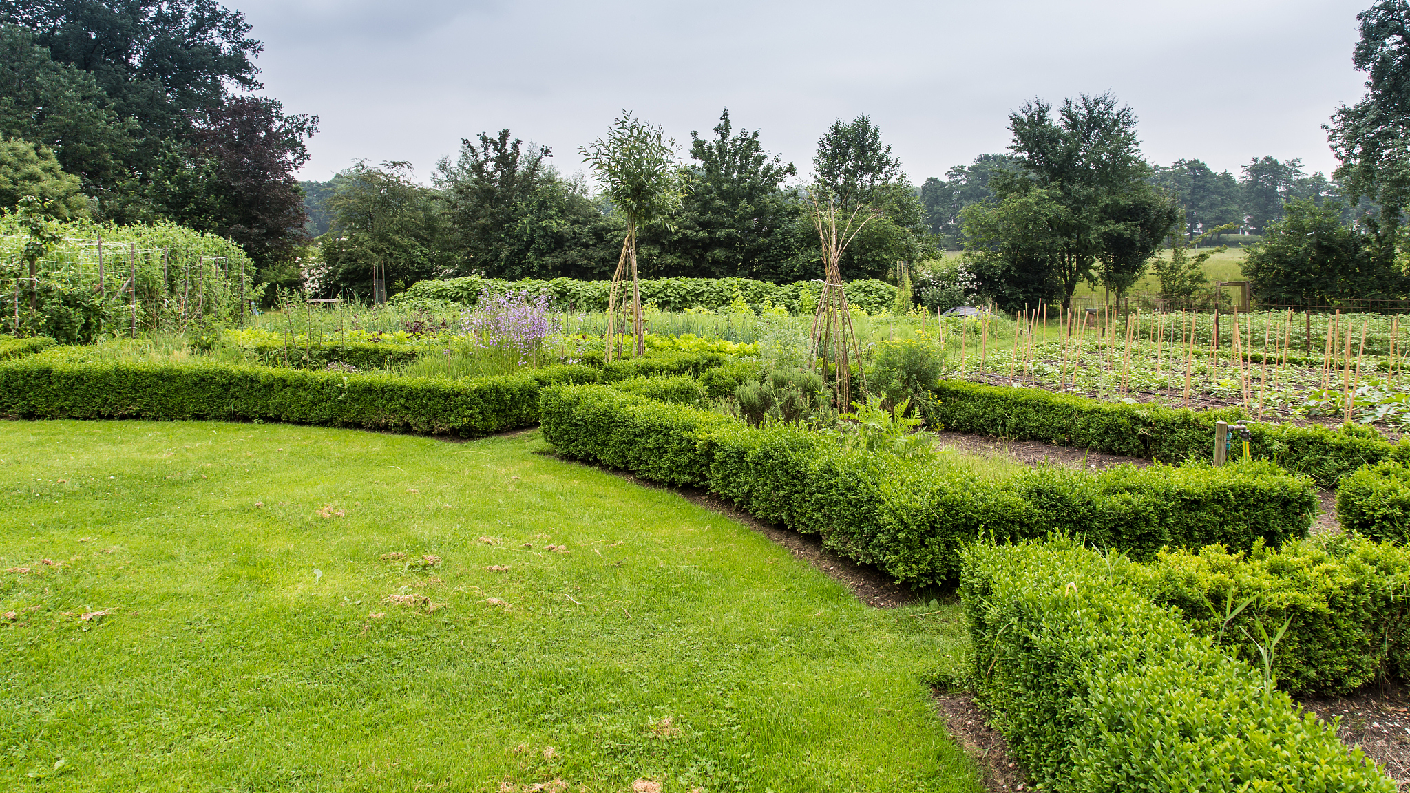 园艺植物种植园规划设计的依据