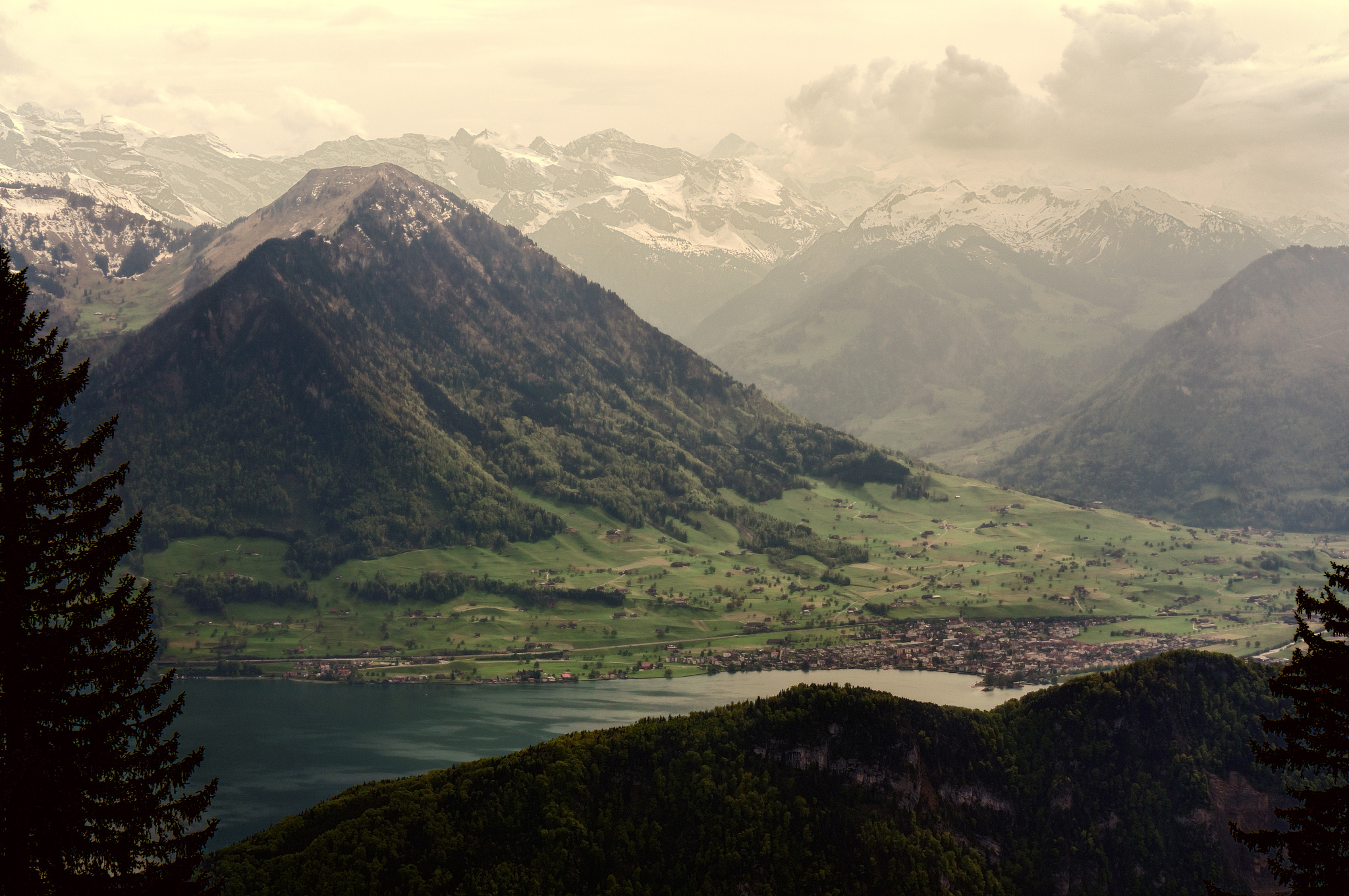 landscape with mountains and lake, burgenstock mountain alps, sw